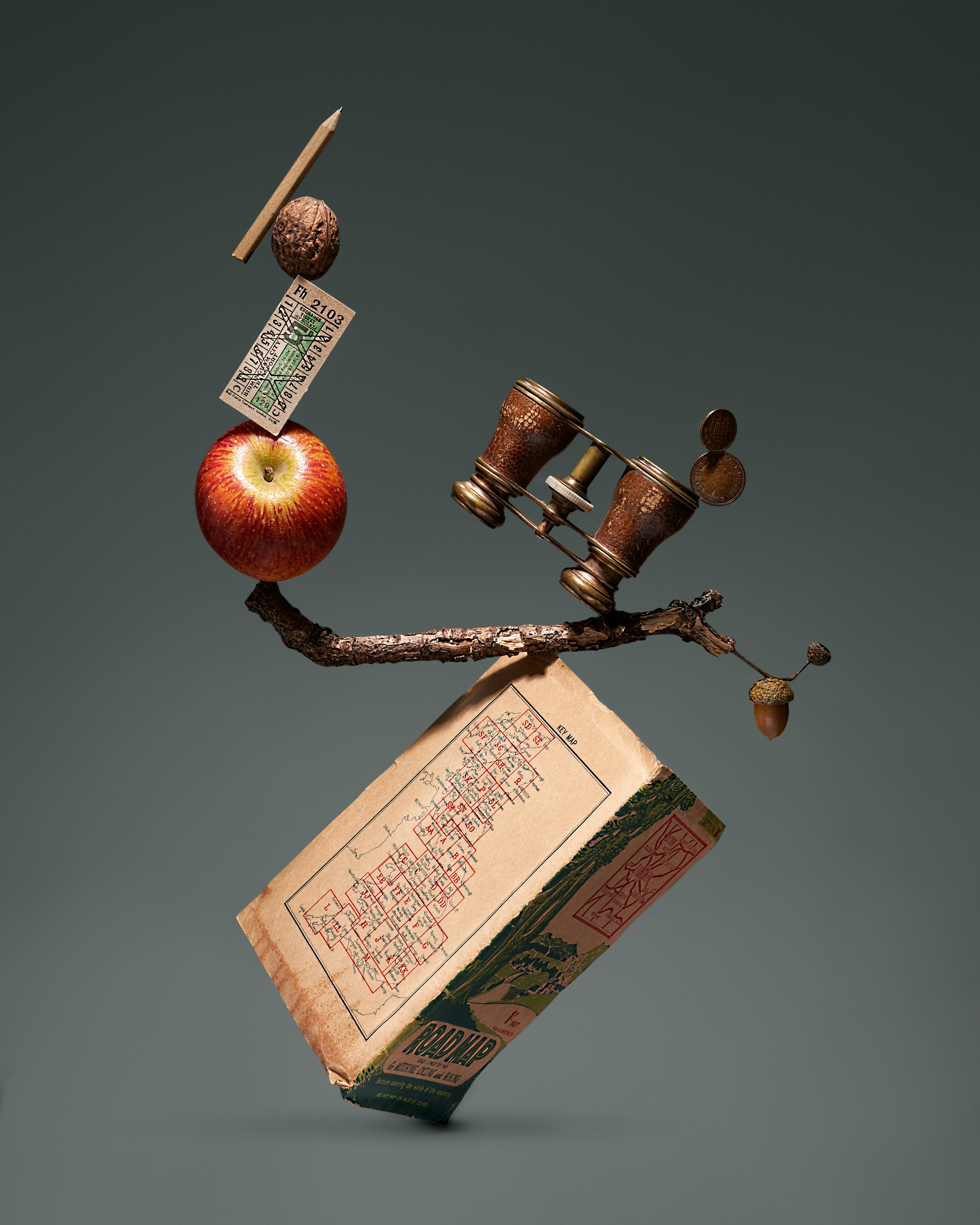 red apple fruit on brown wooden stick