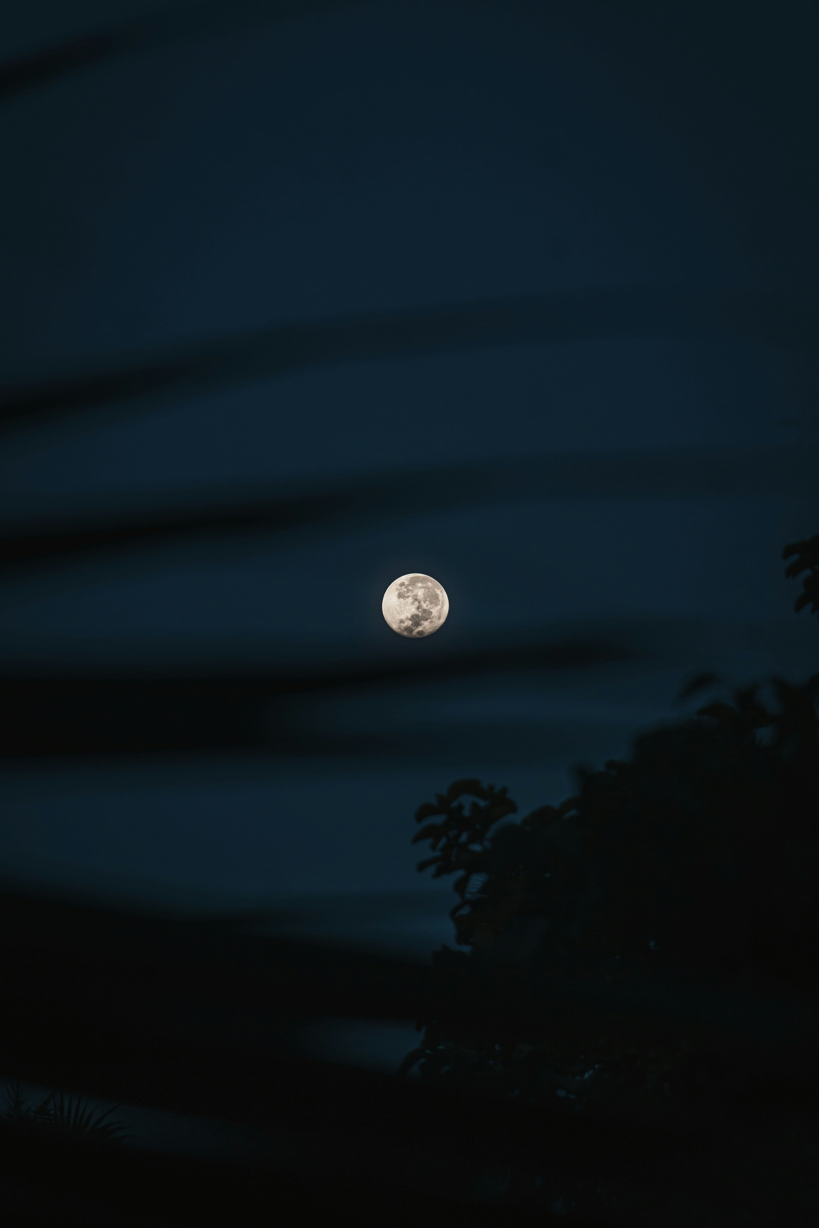 Full moon over the trees photo – Free India Image on Unsplash