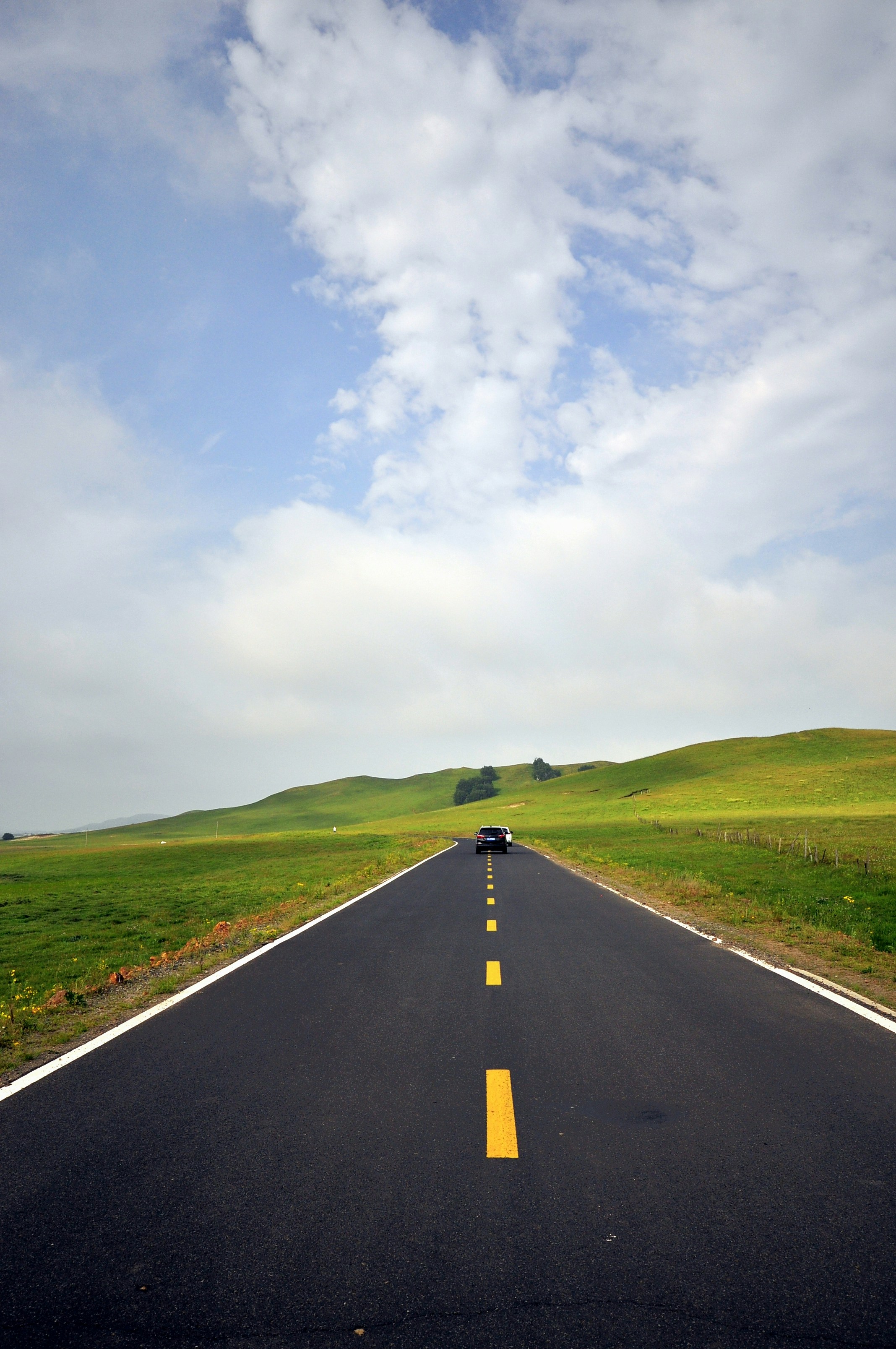 Building a compliance roadmap for sourcing transporting and storing THCa products