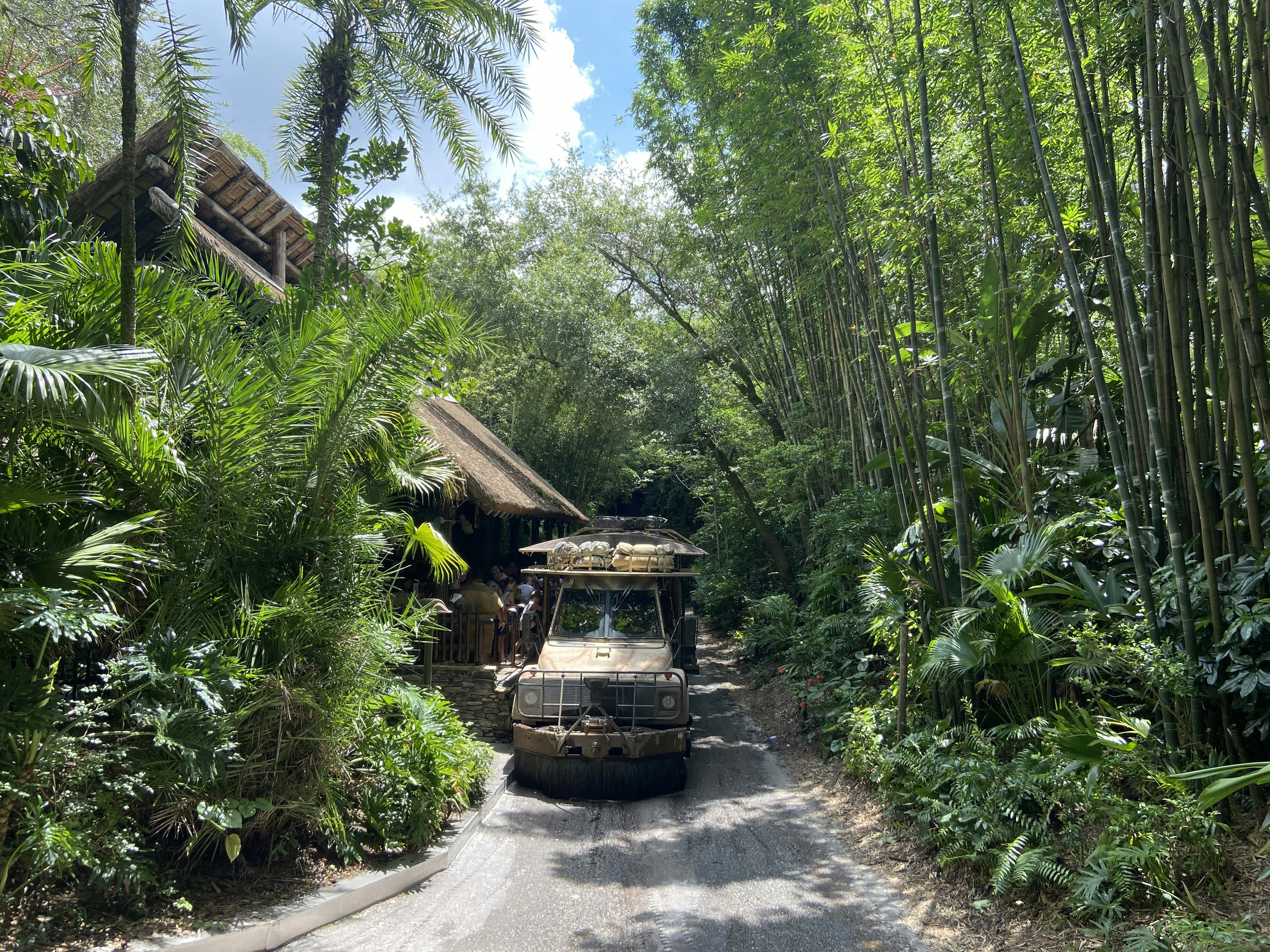 Large open-top safari canter truck with tourists on a jungle trail in dry deciduous forest