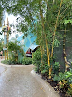 An outdoor landscape designed with eco-friendly plants and bamboo.