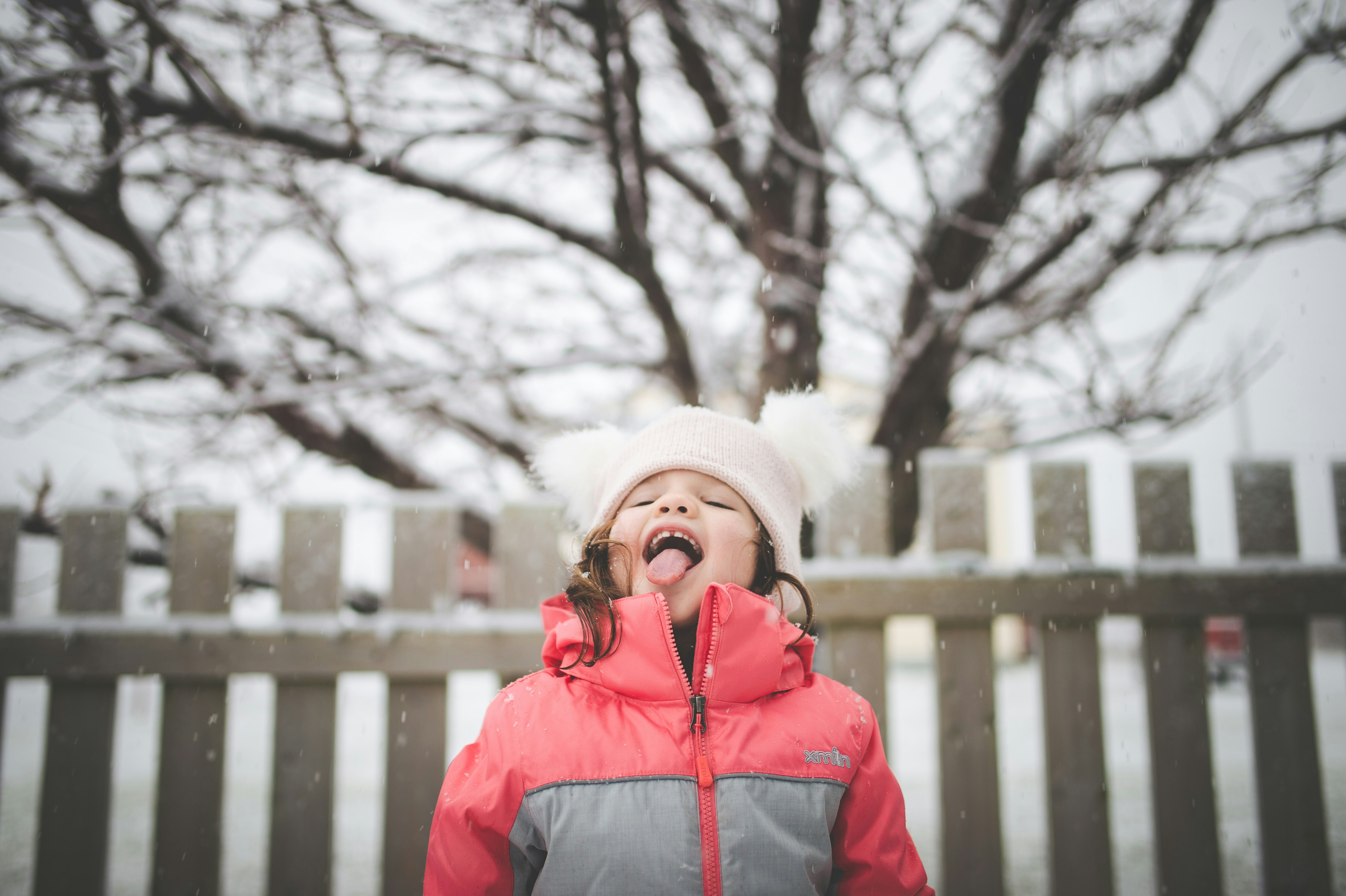 Photo by porkbellysteve