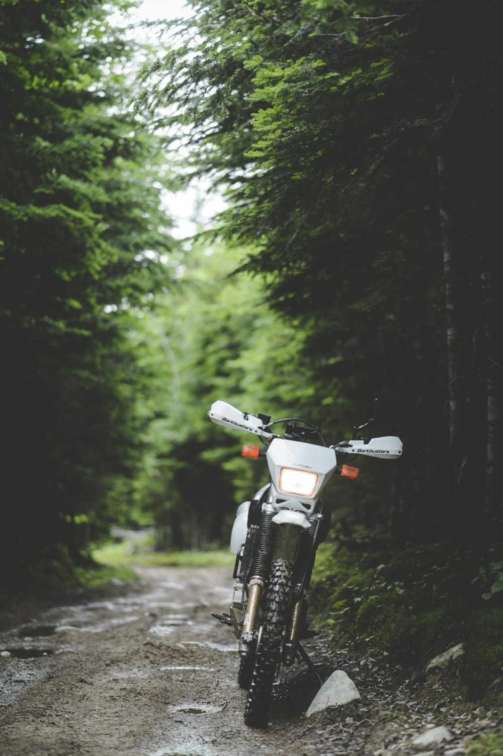 black motorcycle in the middle of the forest