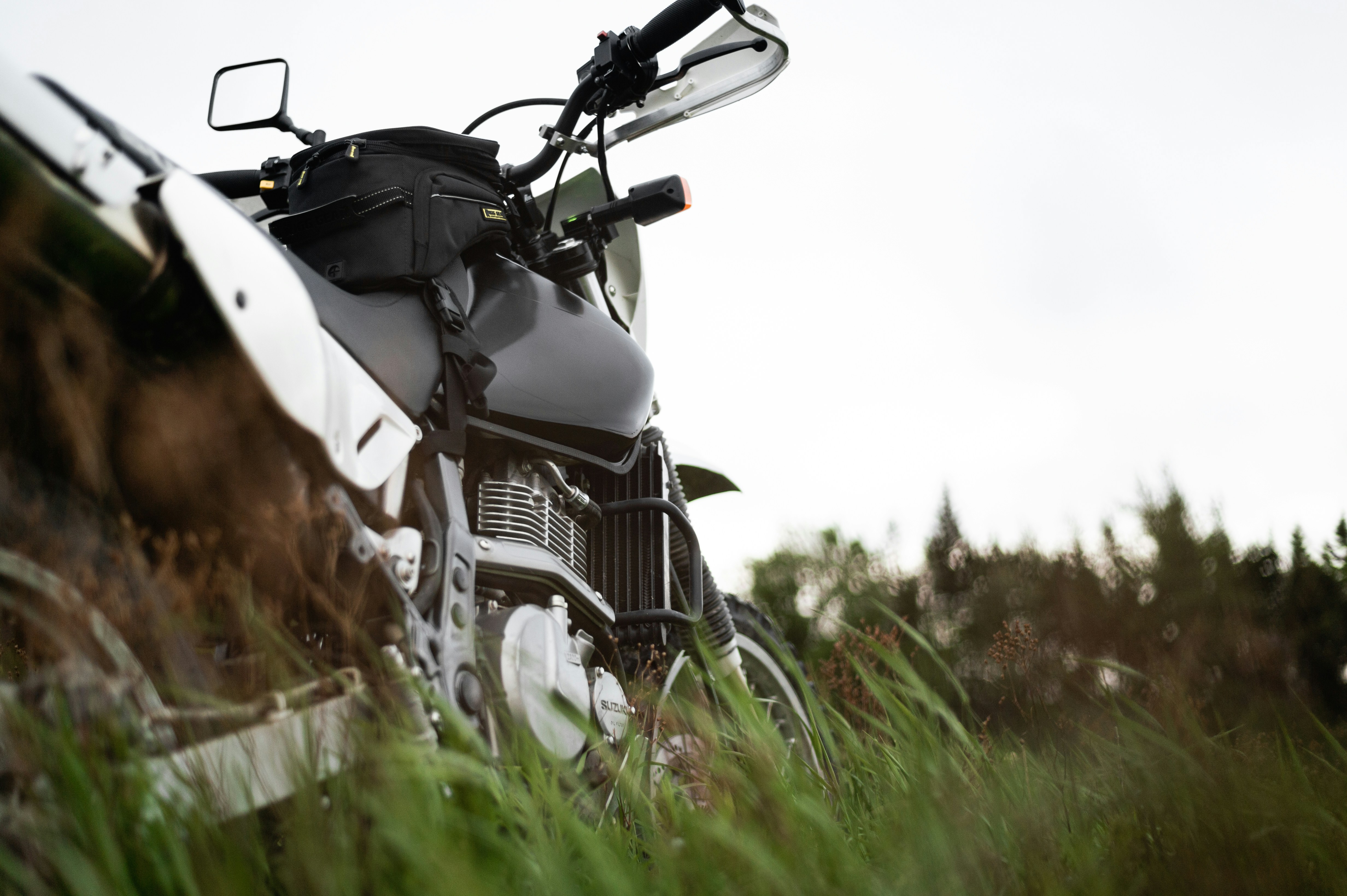 Photo by porkbellysteve