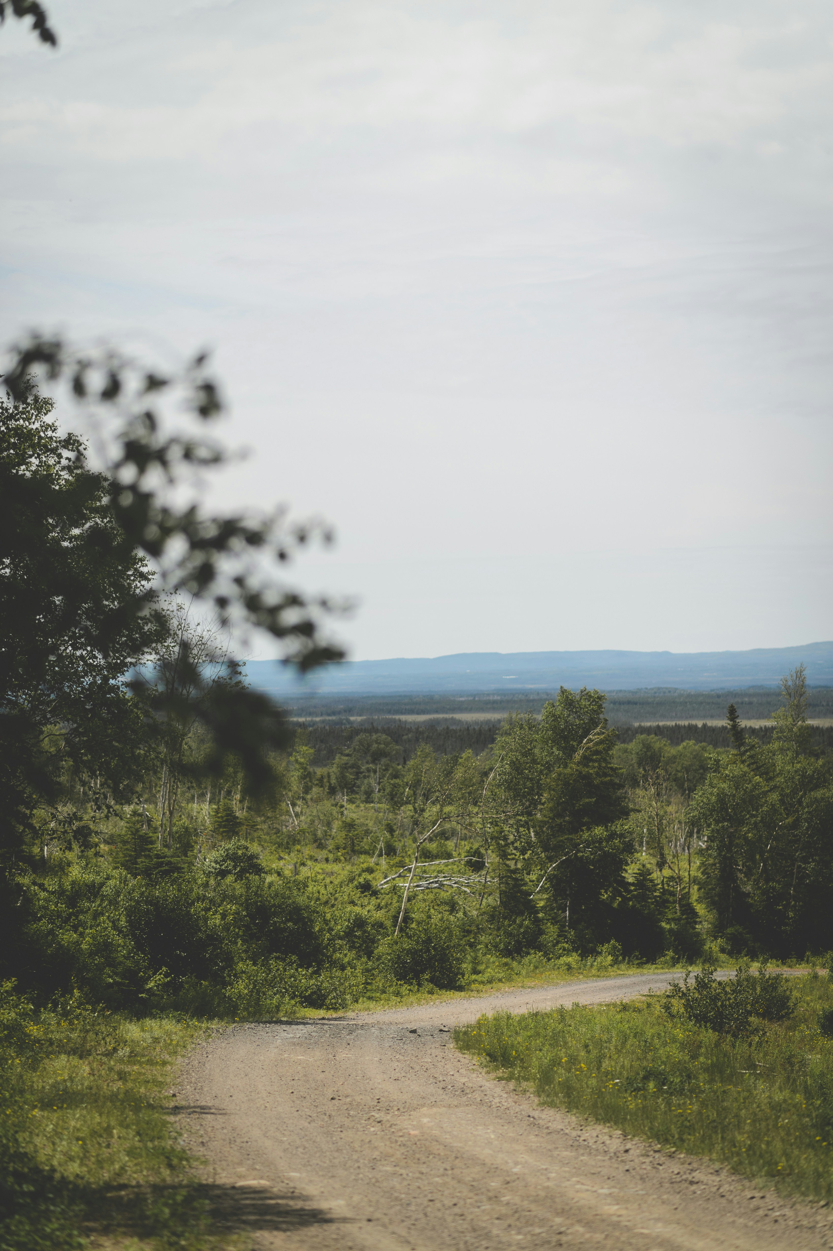 Photo by porkbellysteve