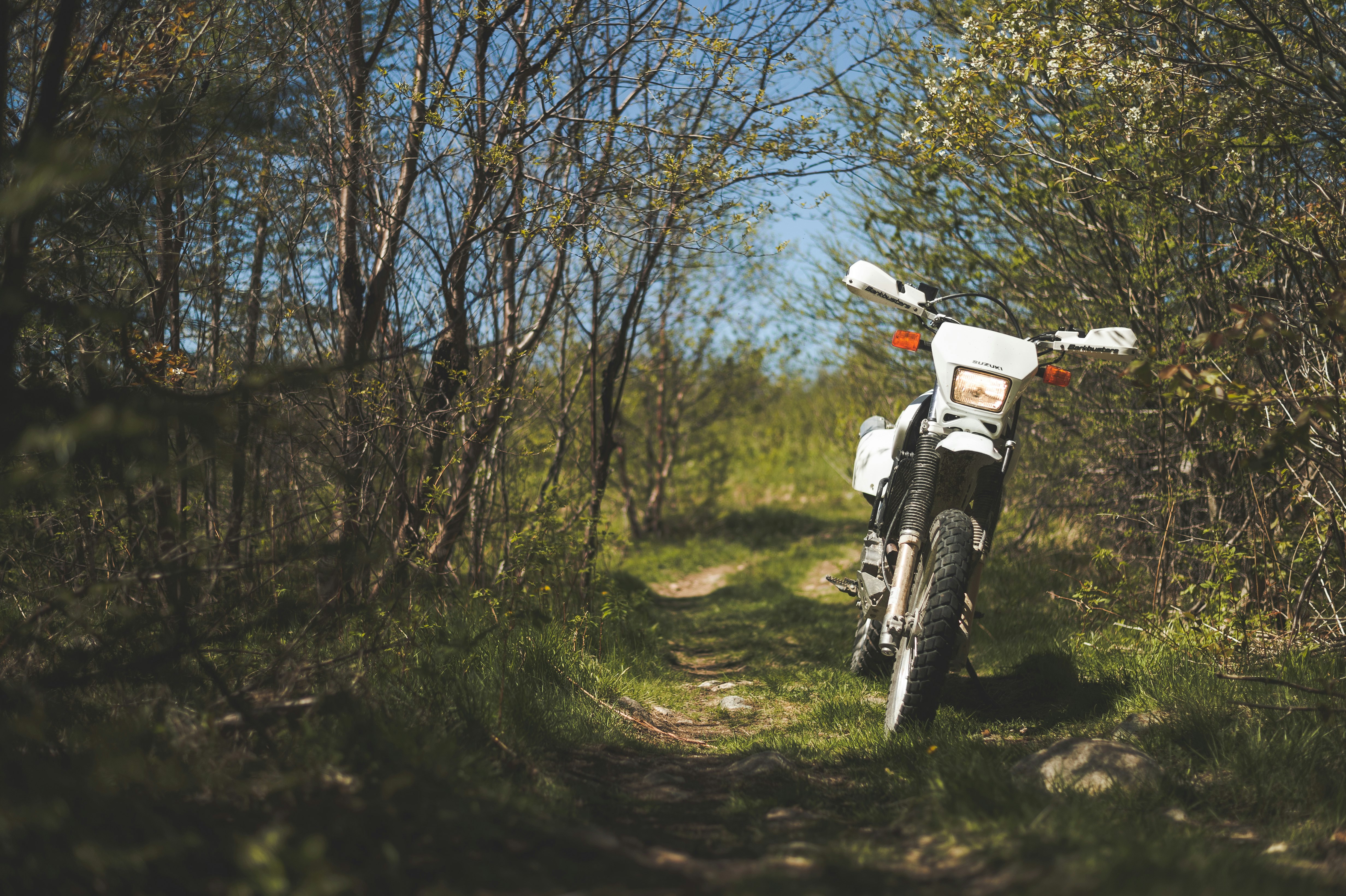 white and black motorcycle on green grass field during daytime