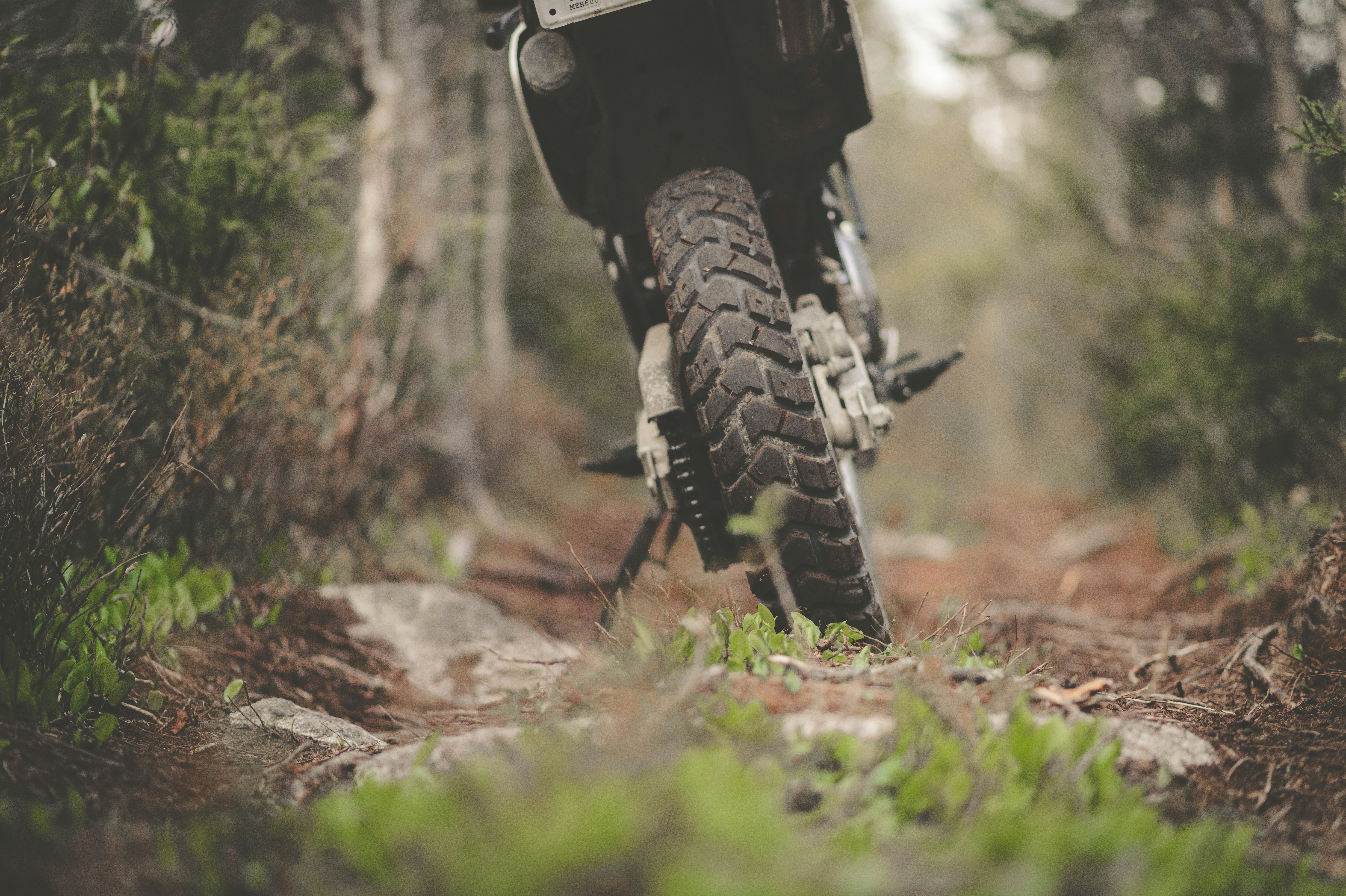 Photo by porkbellysteve