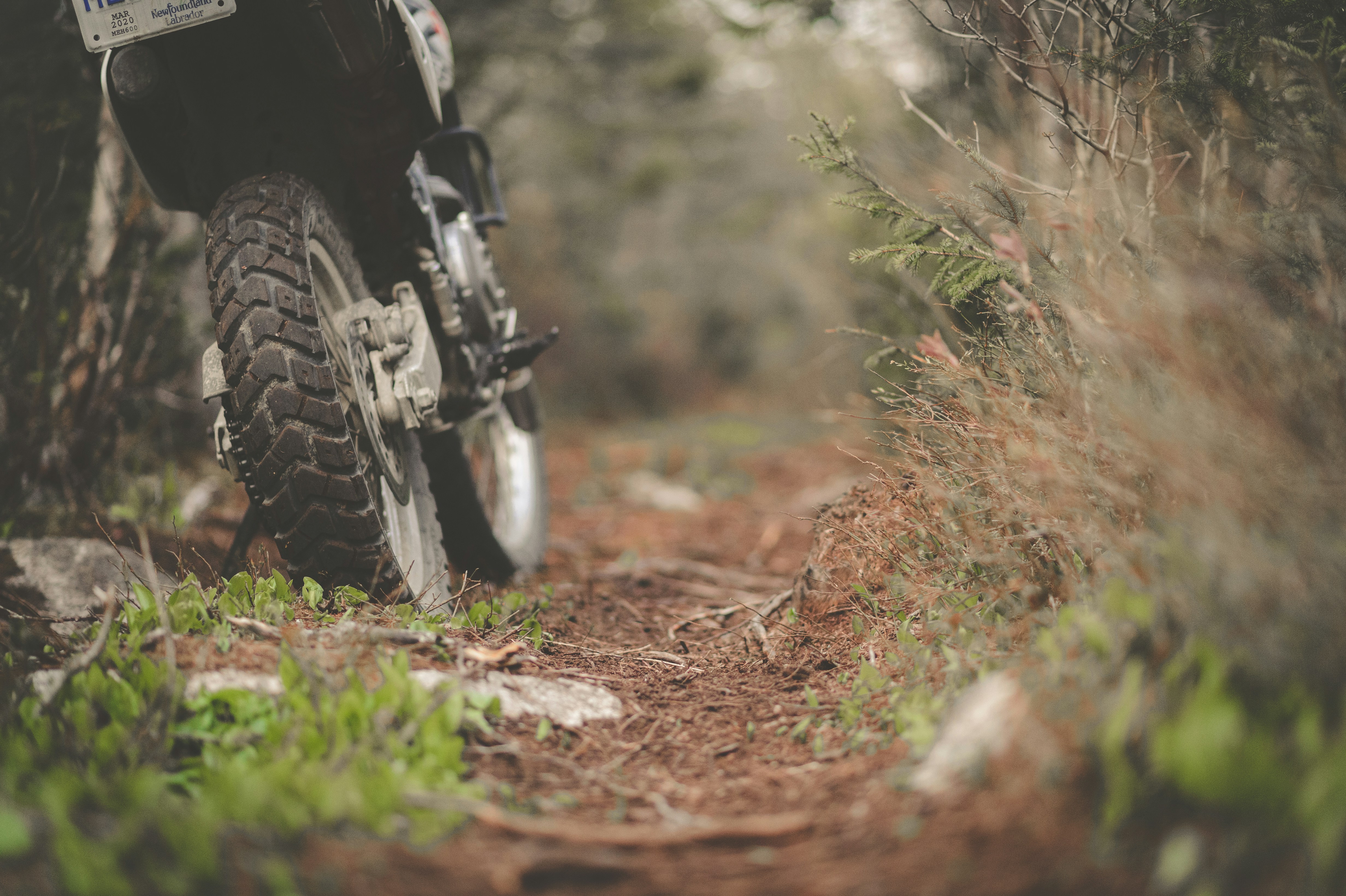 Photo by porkbellysteve