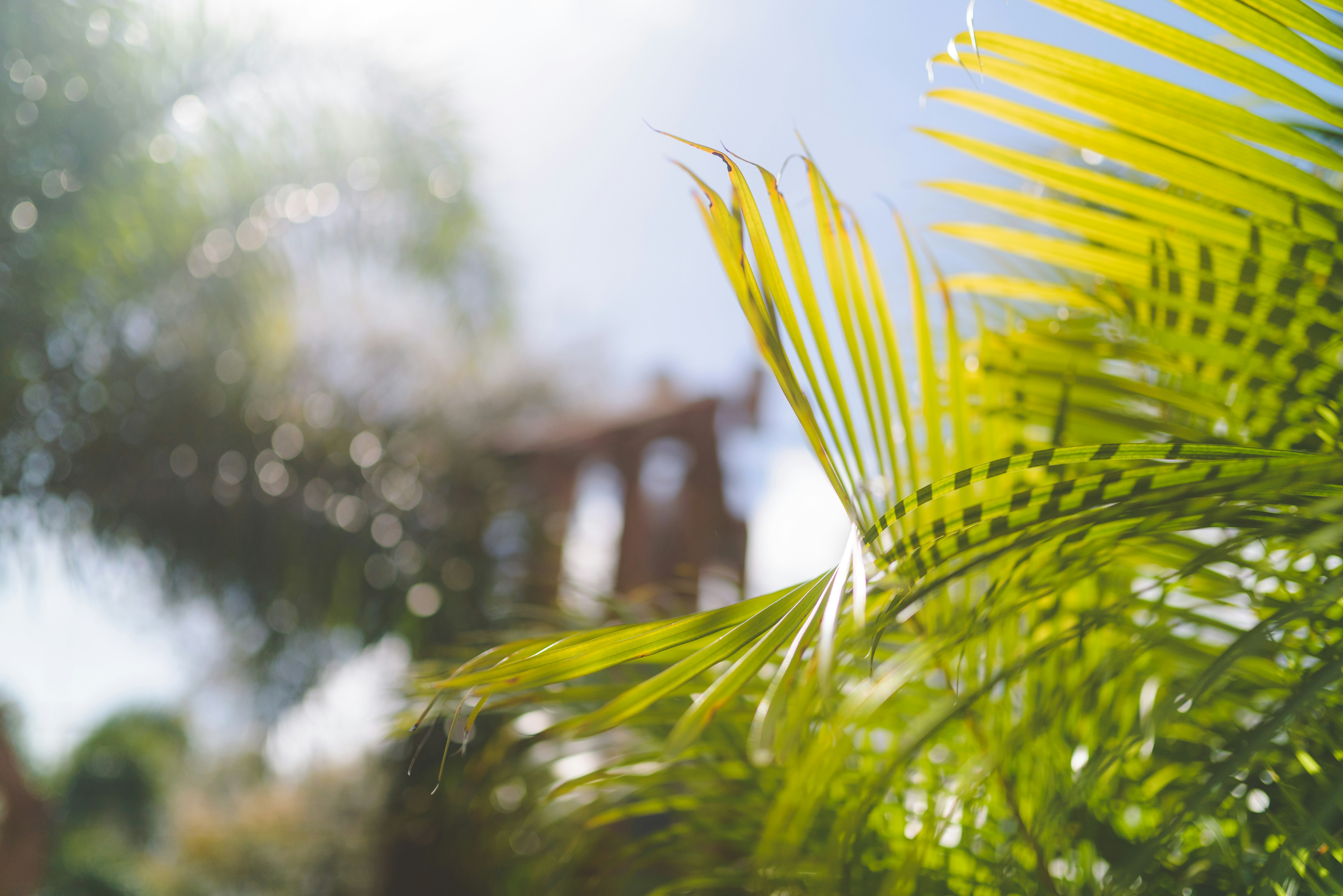 Photo by porkbellysteve