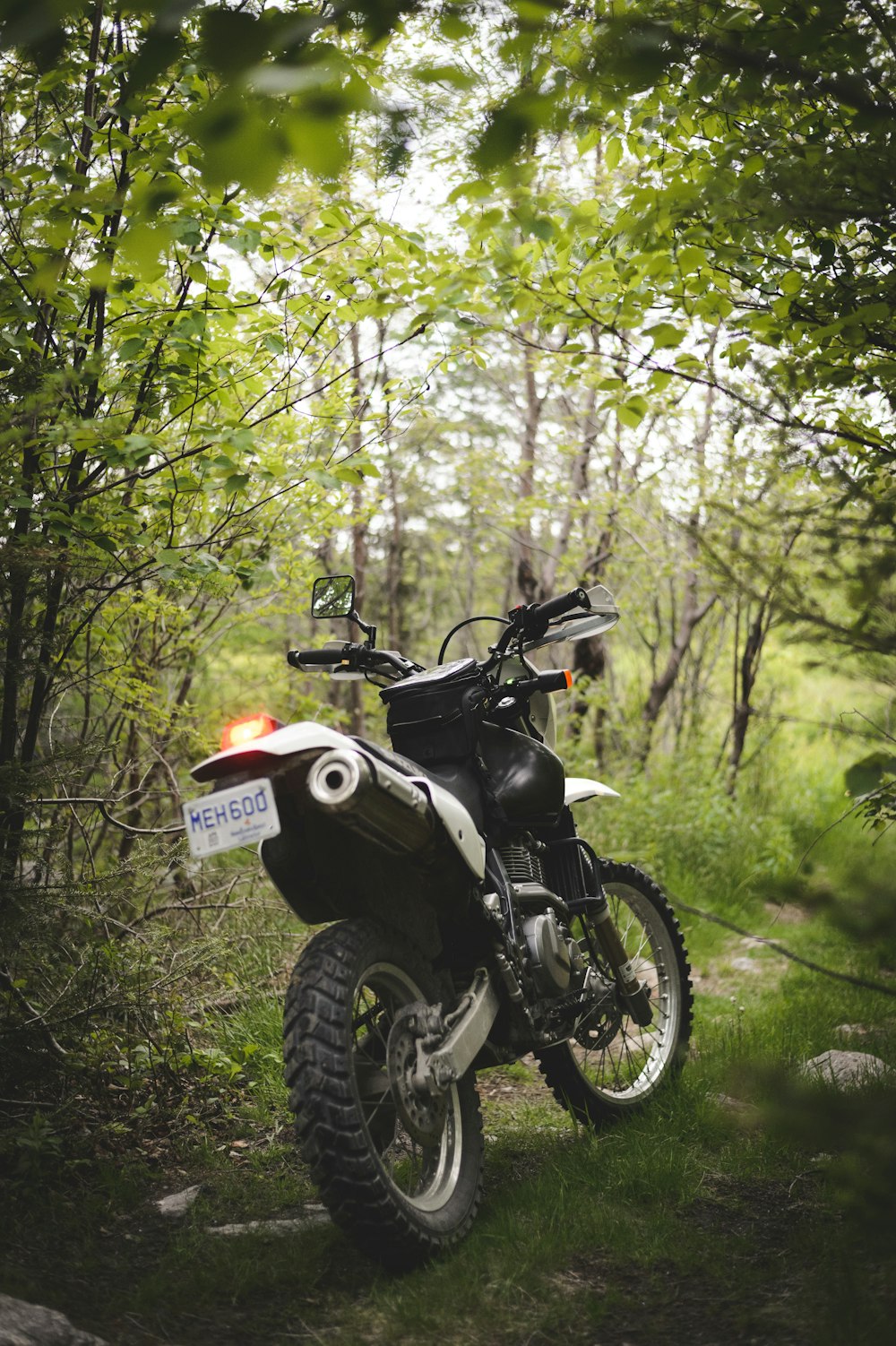 black and white motorcycle in forest during daytime