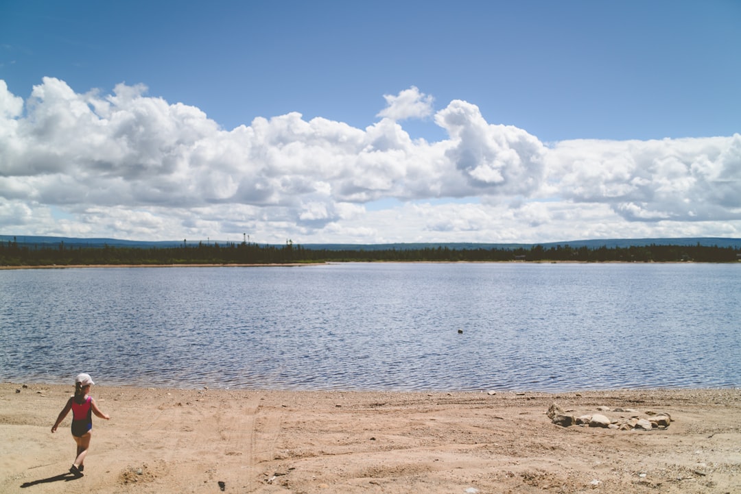 body of water near green trees under white clouds and blue sky during daytime