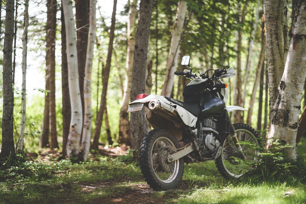 black and gray motorcycle parked on green grass field