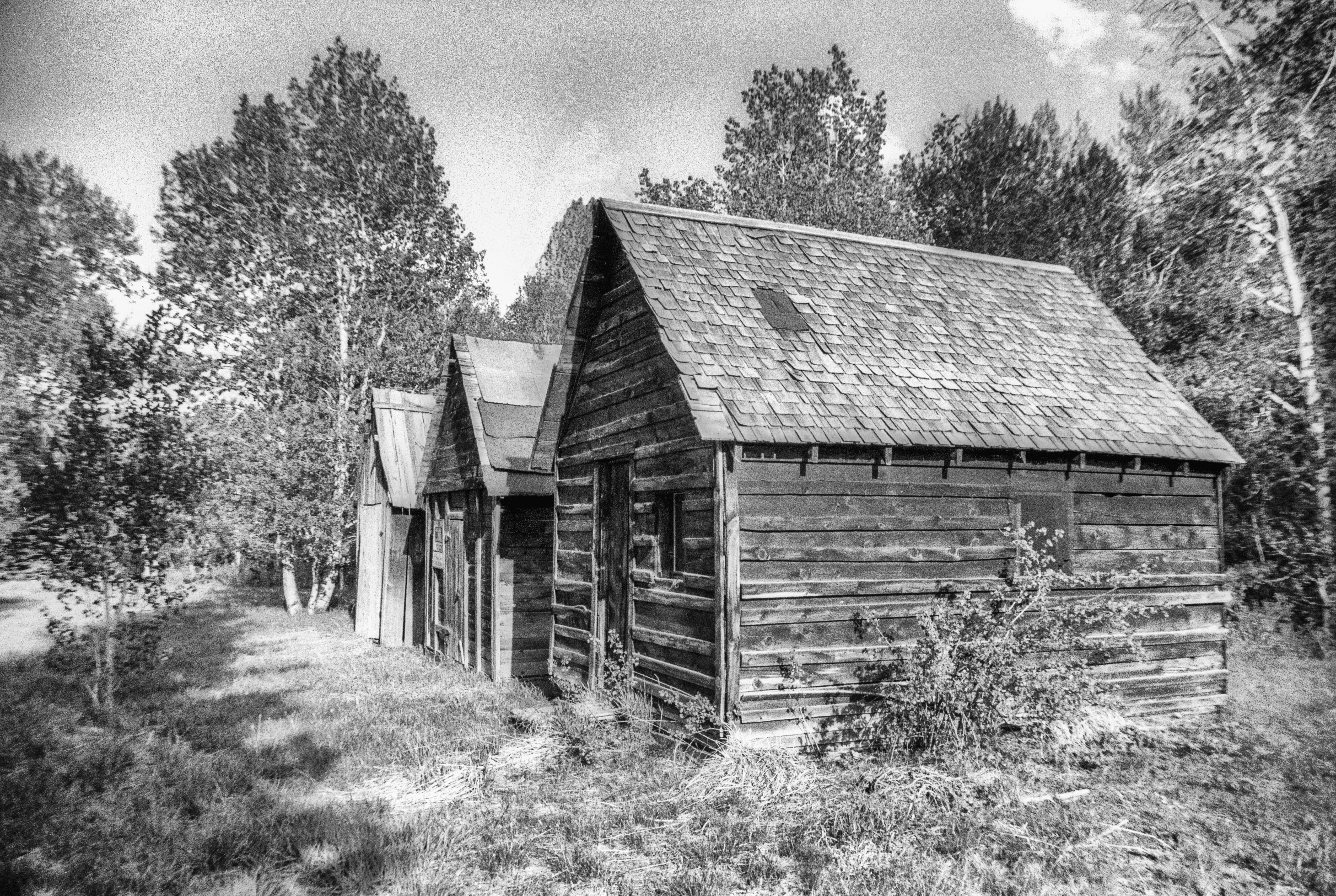 Photo by rocinante_11