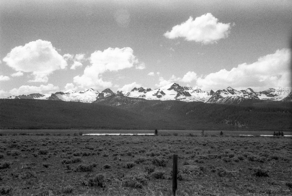 grayscale photo of mountains and field
