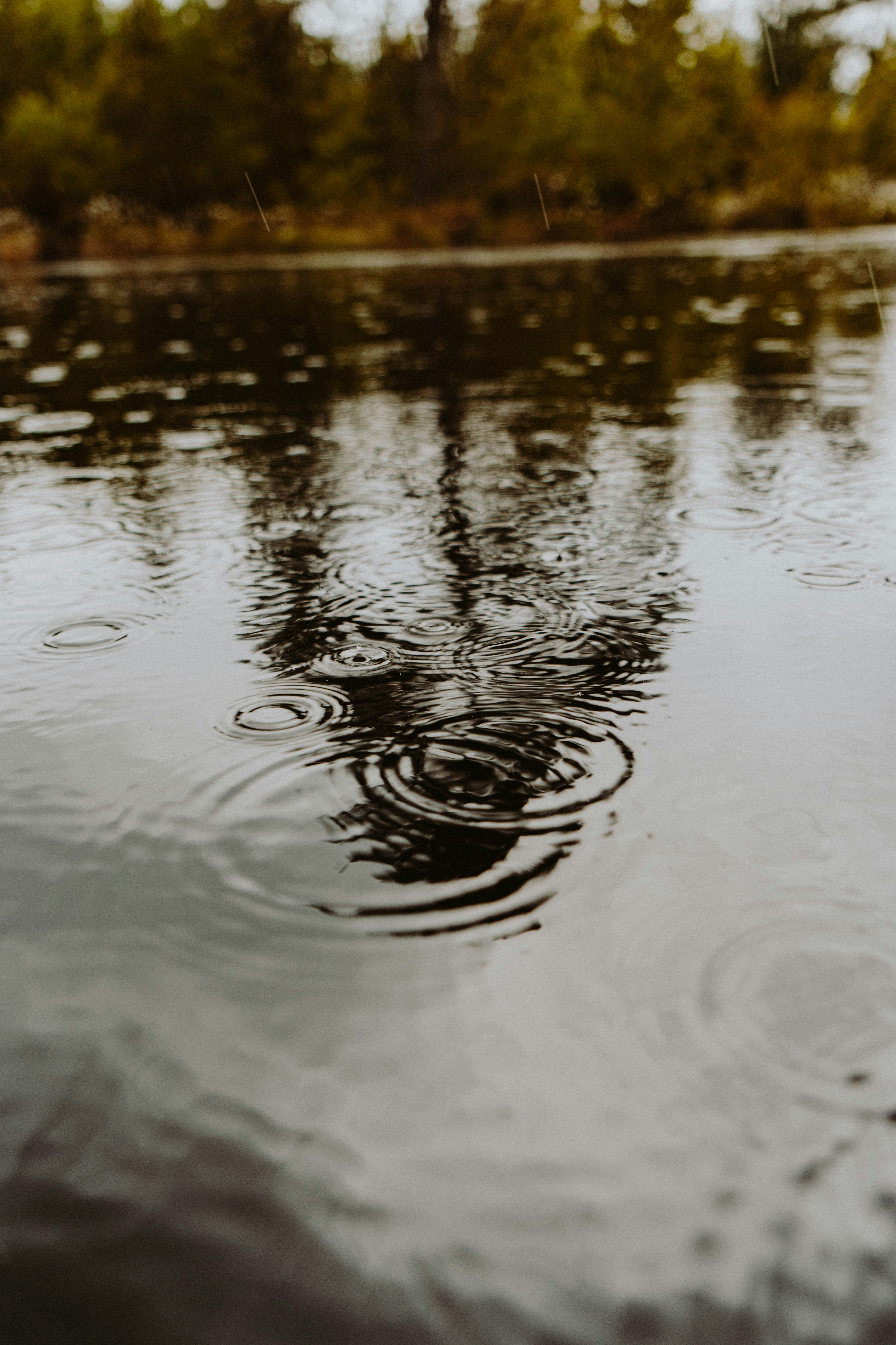 Photo by huefnerdesign