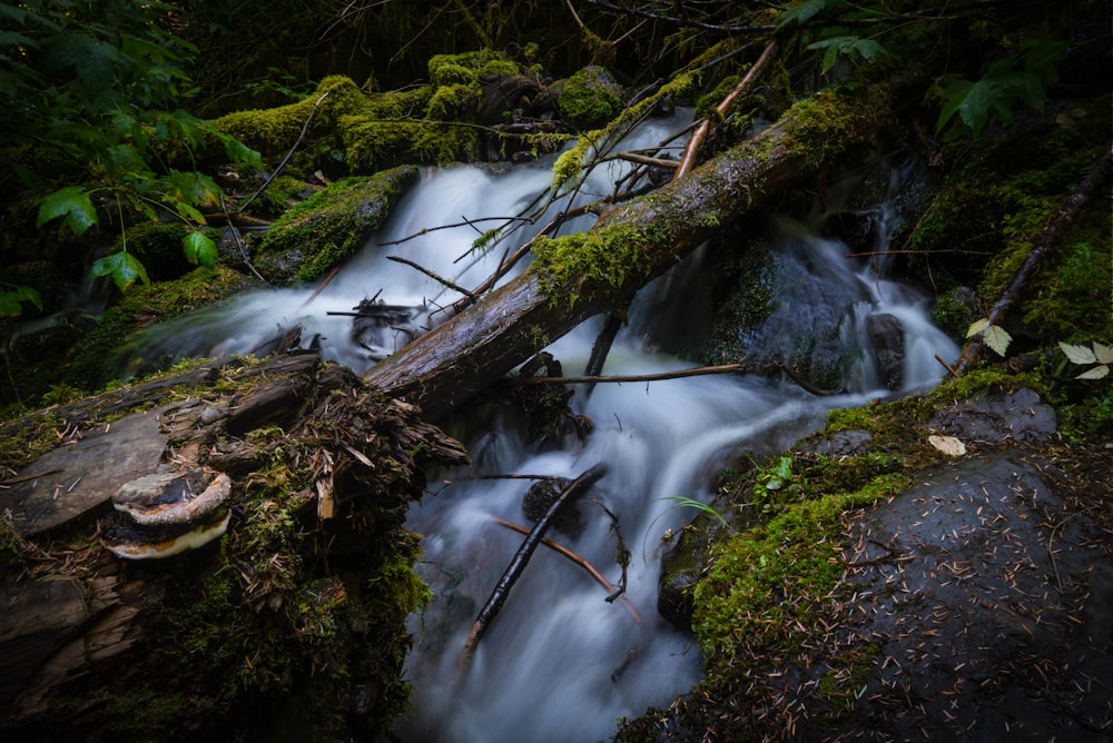 time lapse photography of water falls