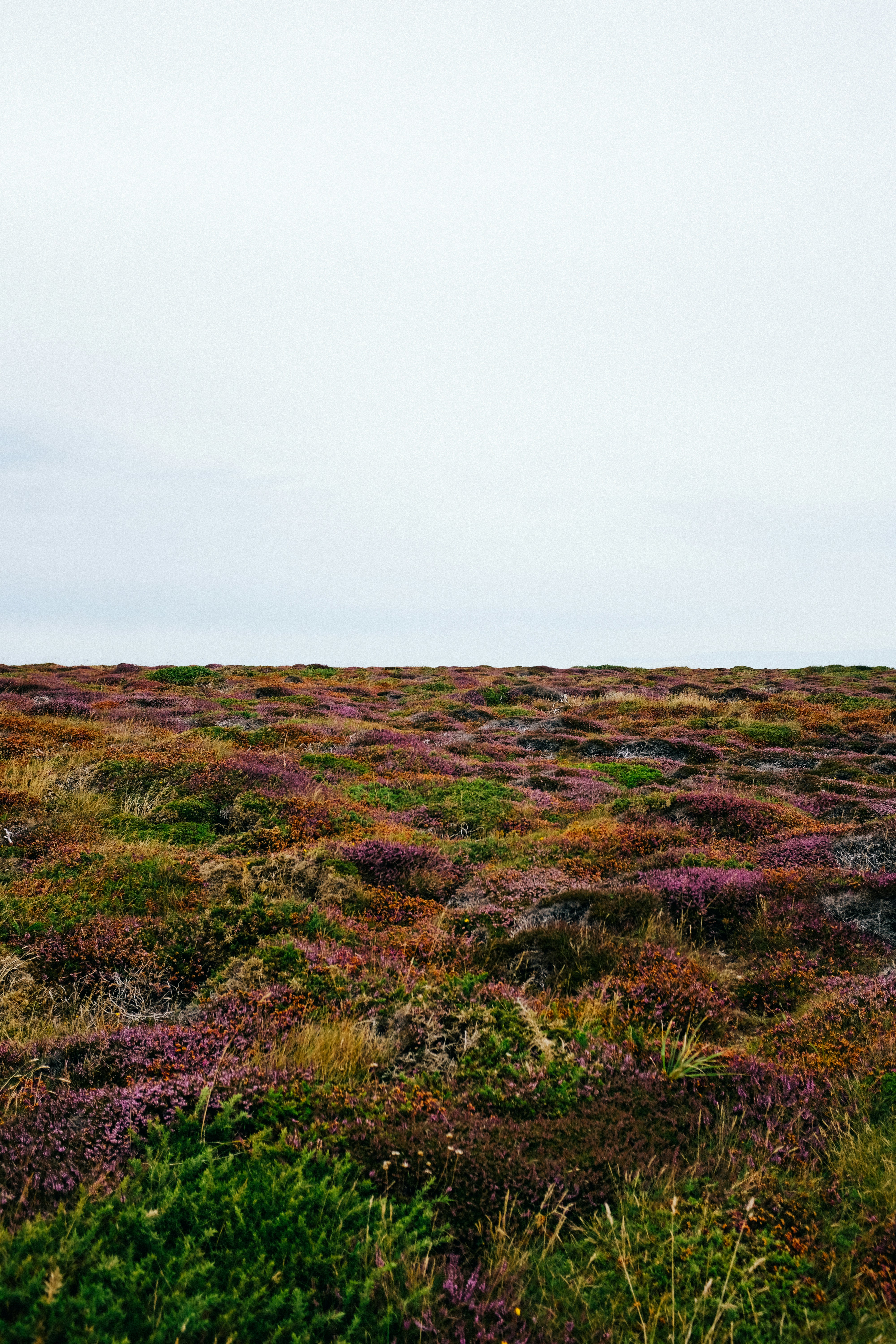 Photo by adrienolichon