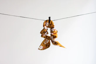 brown and black butterfly on white background