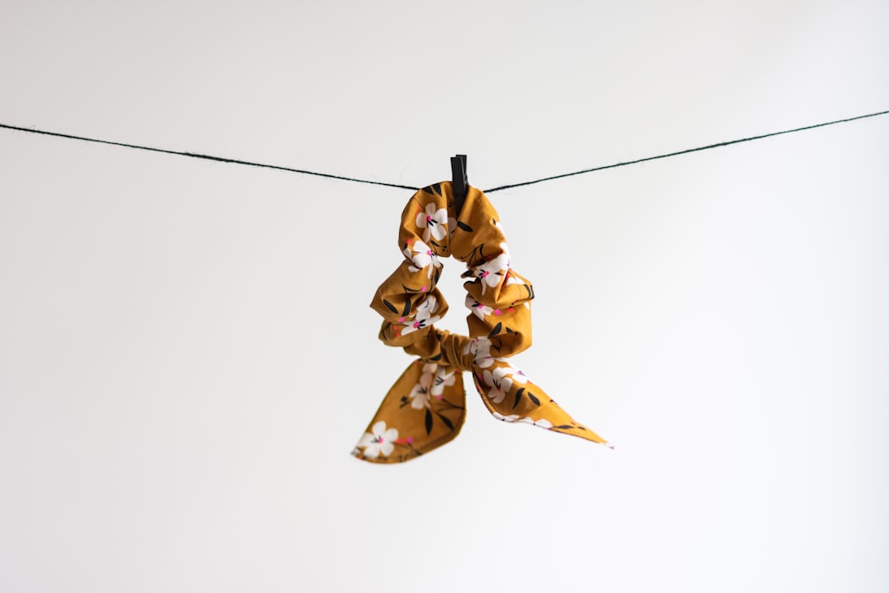 brown and black butterfly on white background