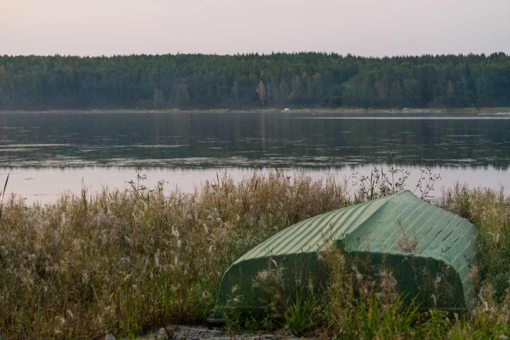 green tent on green grass near lake during daytime