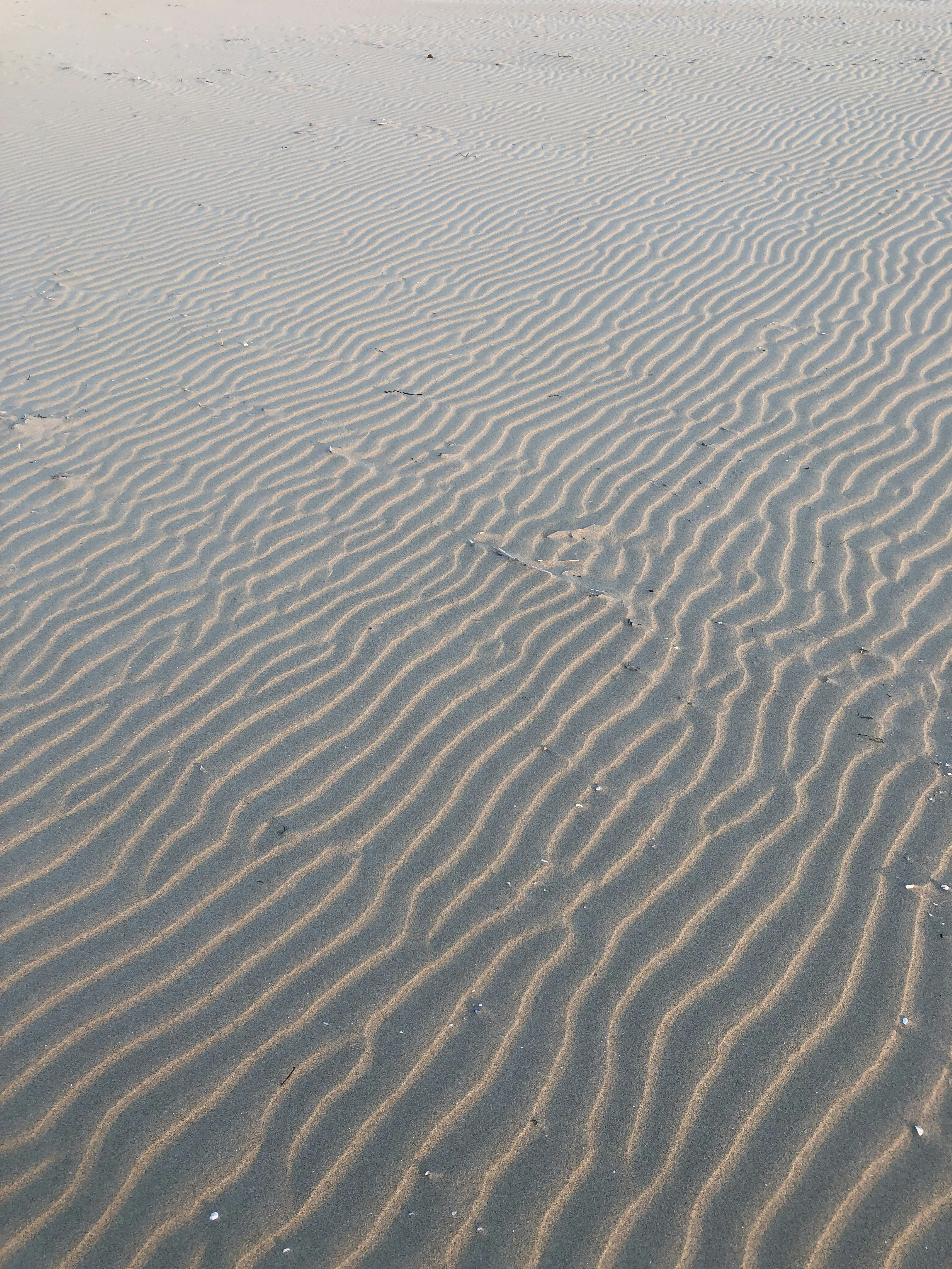 Photo by lucafortunato