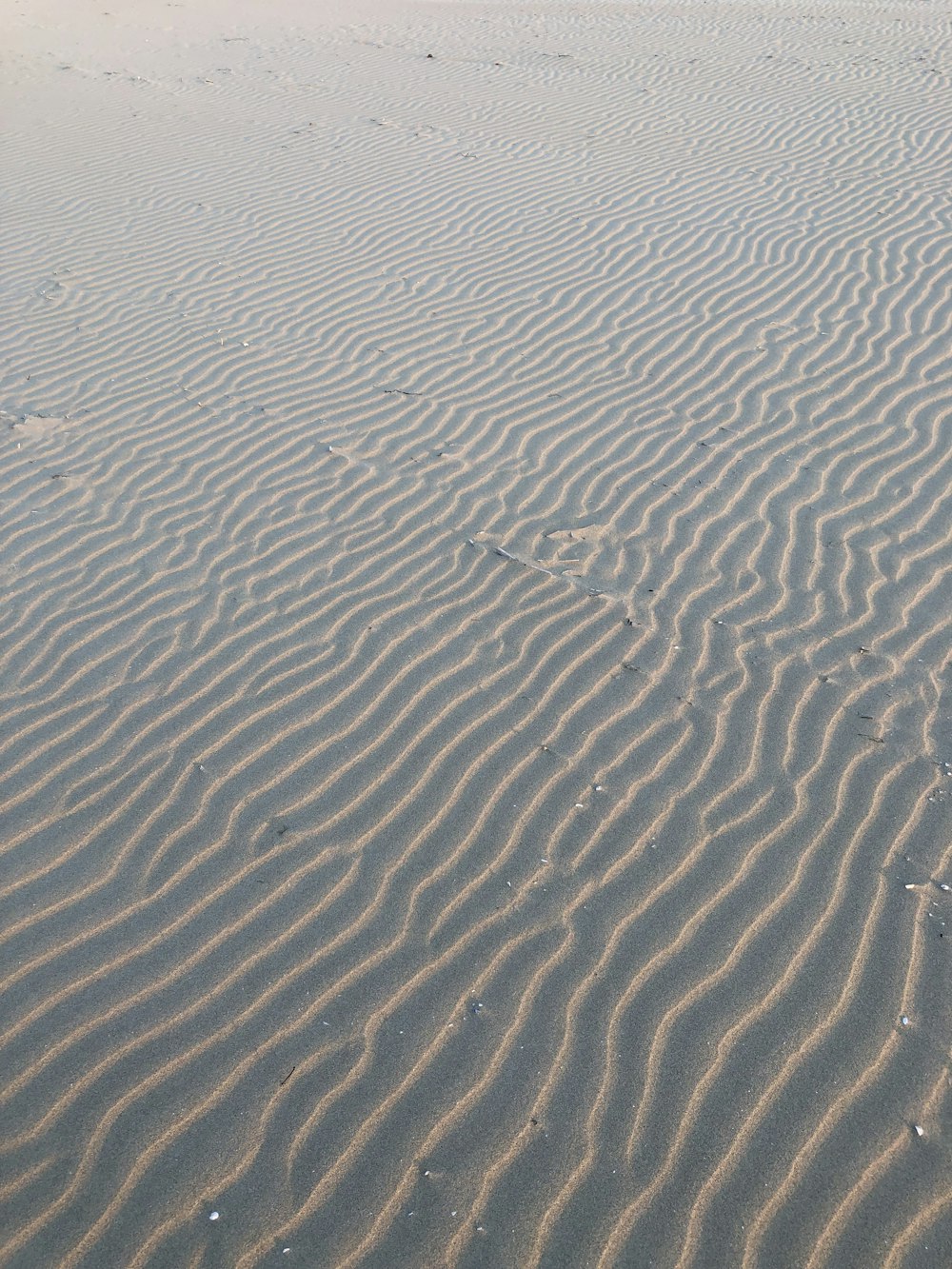 brown sand with water during daytime