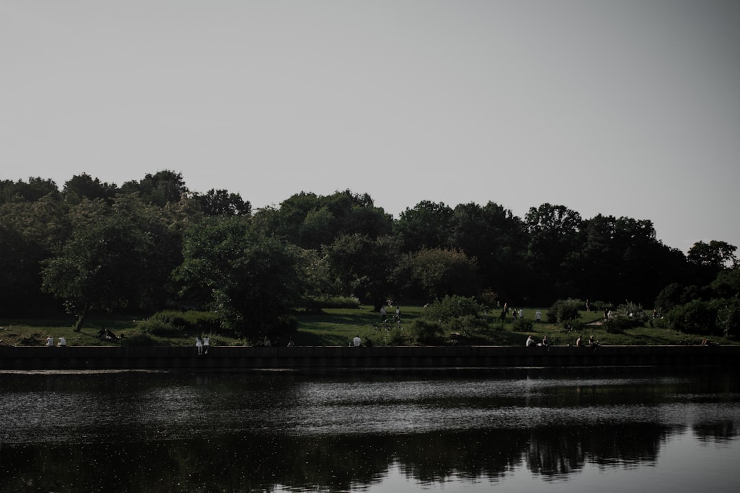 green trees beside river during daytime