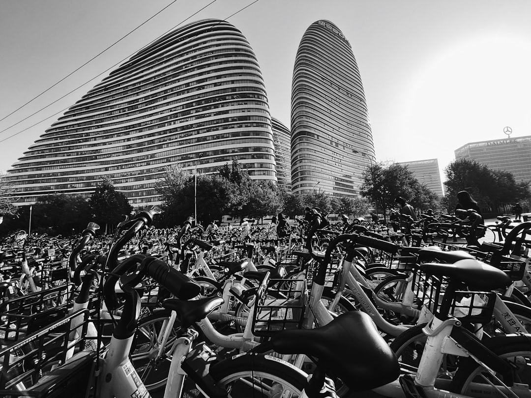 grayscale photo of bicycles parked near trees