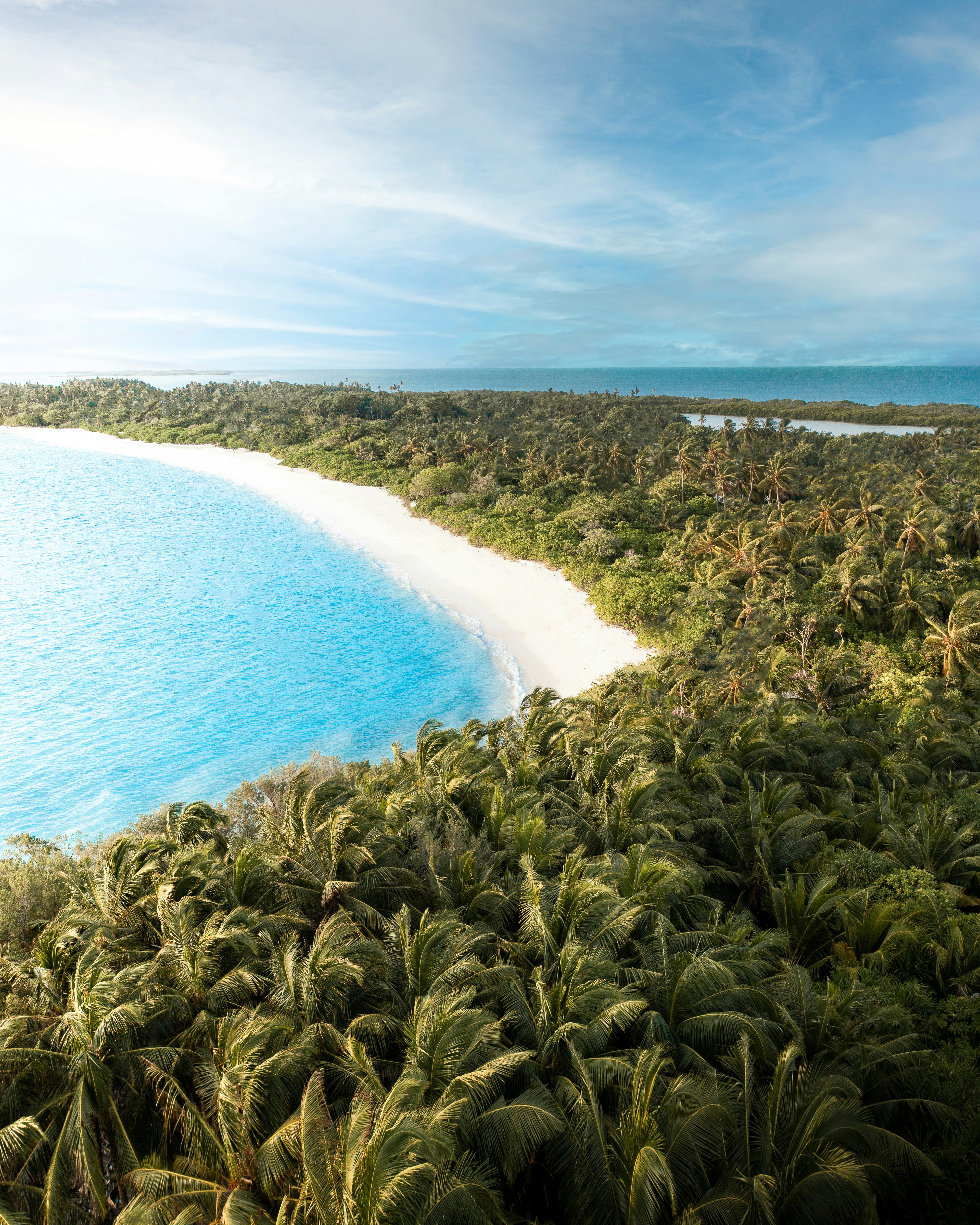 green trees near blue sea under blue sky during daytime