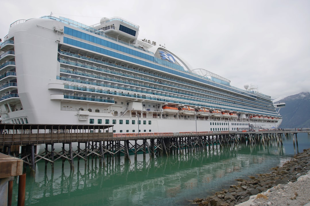 white cruise ship on water during daytime