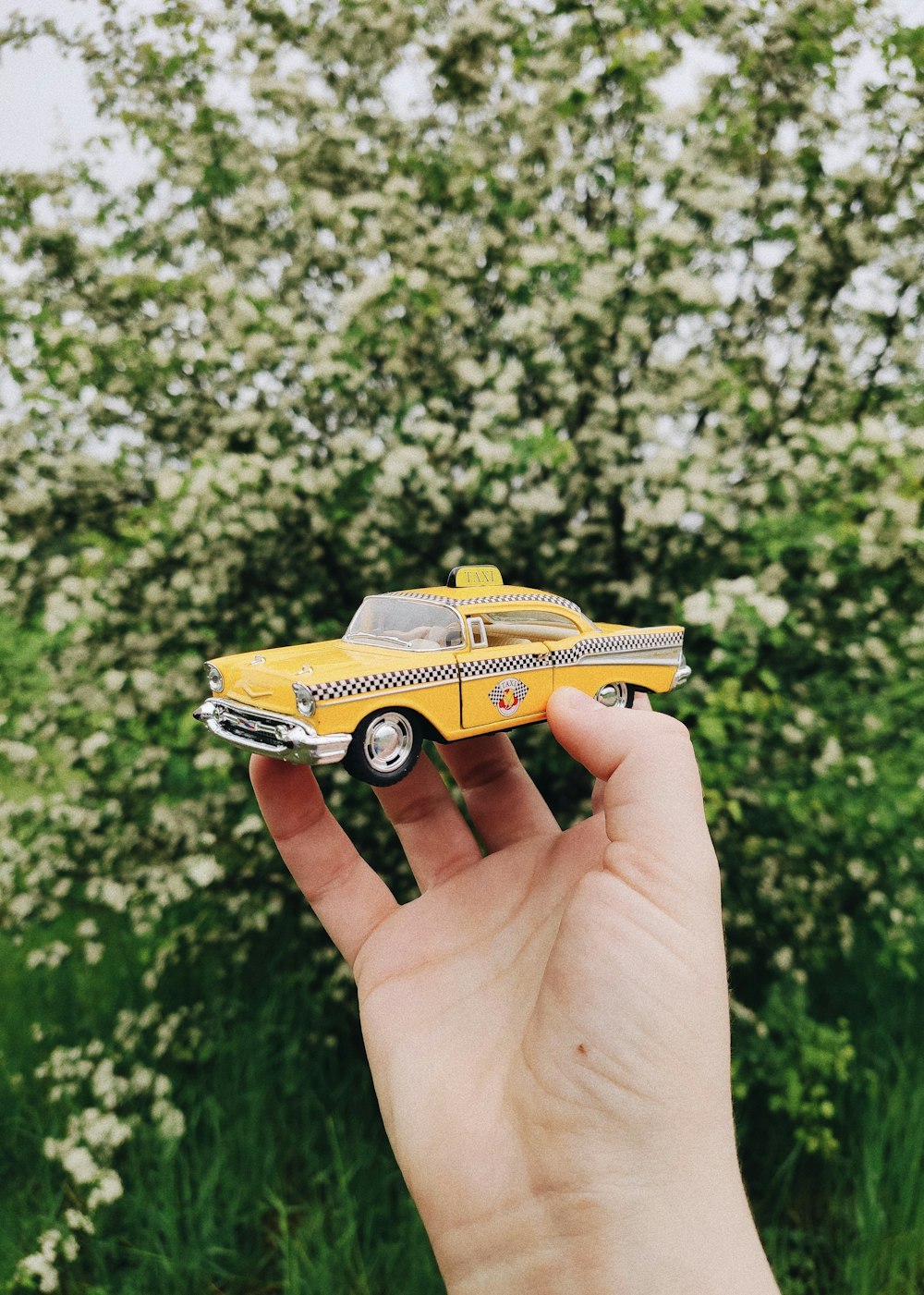 yellow and black chevrolet camaro