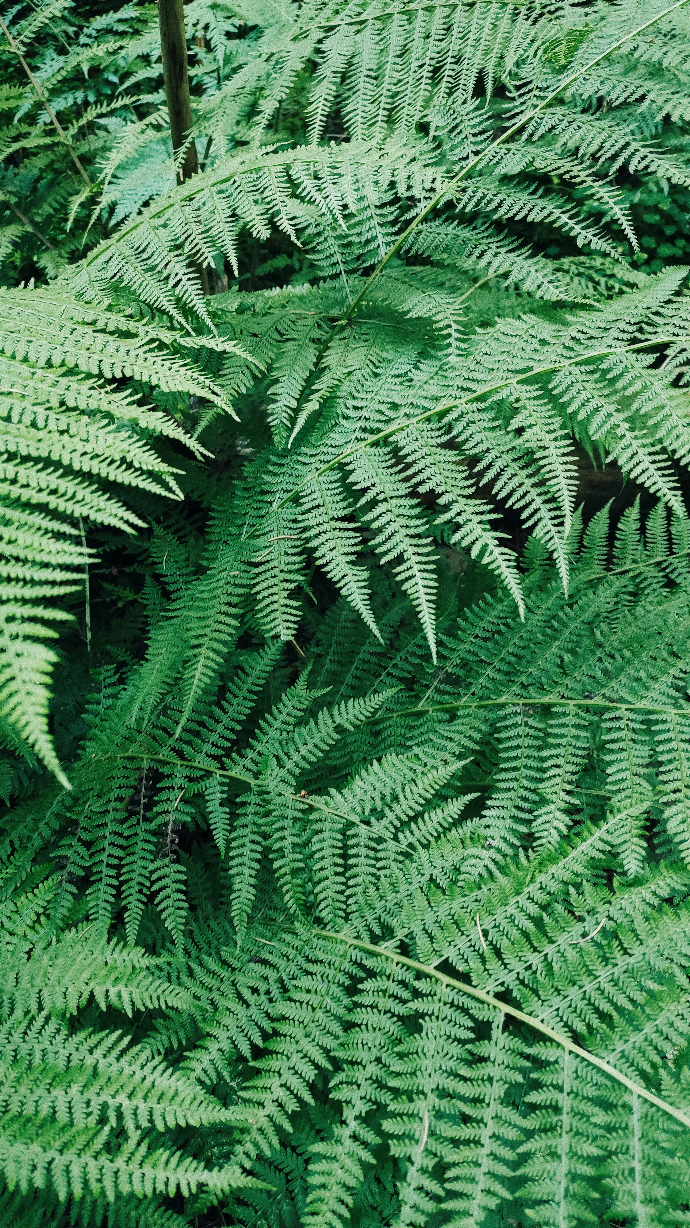 Photo by vita_belvita