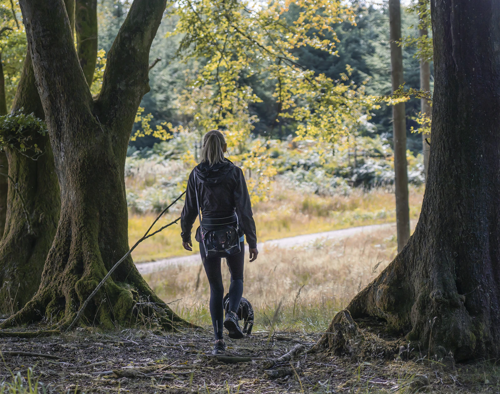 Handler and dog walking together beneath large trees