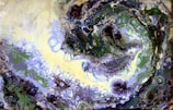 Abstract swirling forms in deep neutral tones, suggesting emerging patterns.