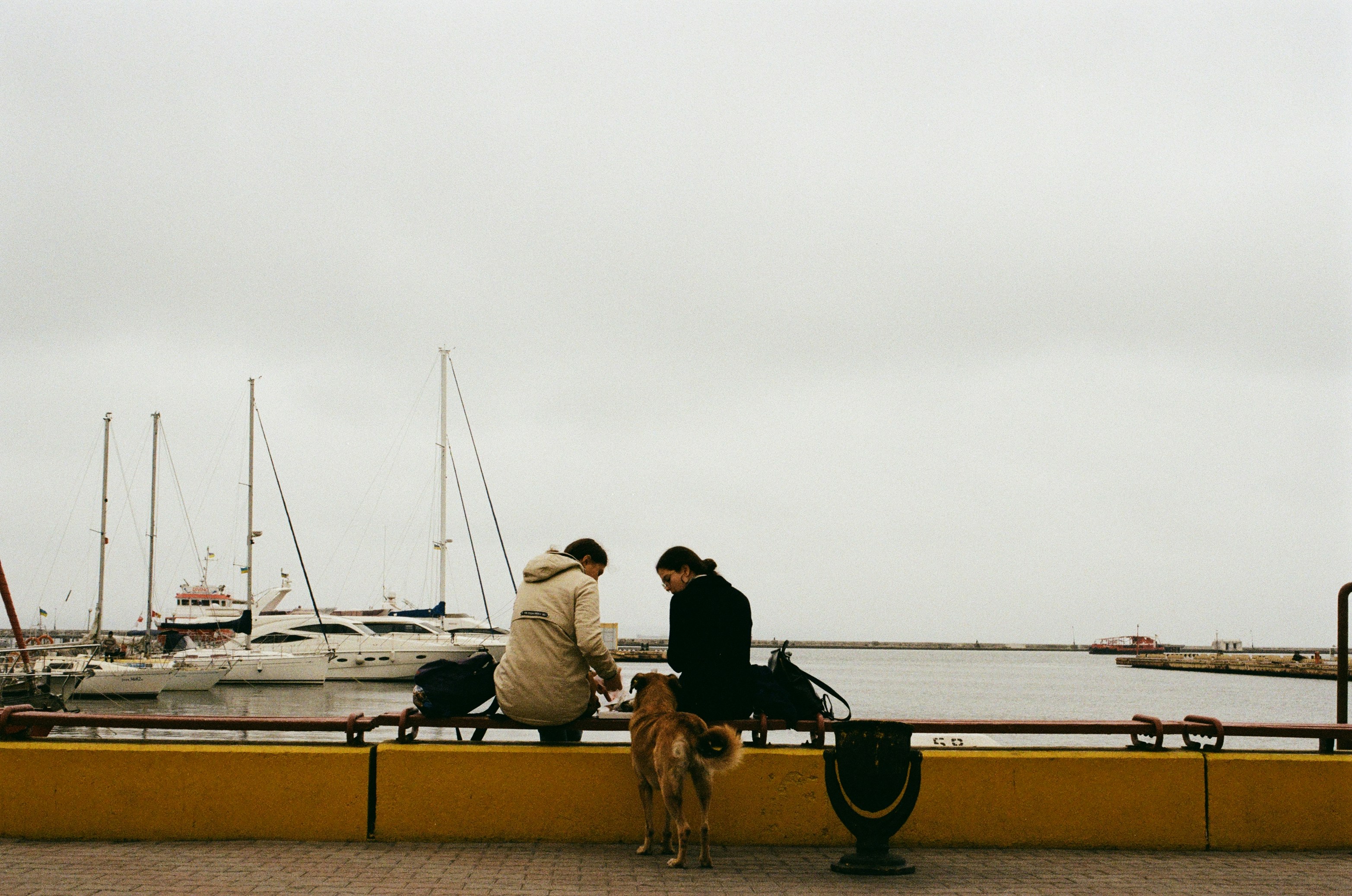 Photo by sashamatveeva