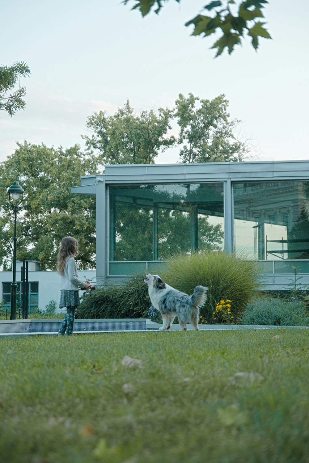 woman in white shirt and blue denim jeans standing beside white and black dog during daytime