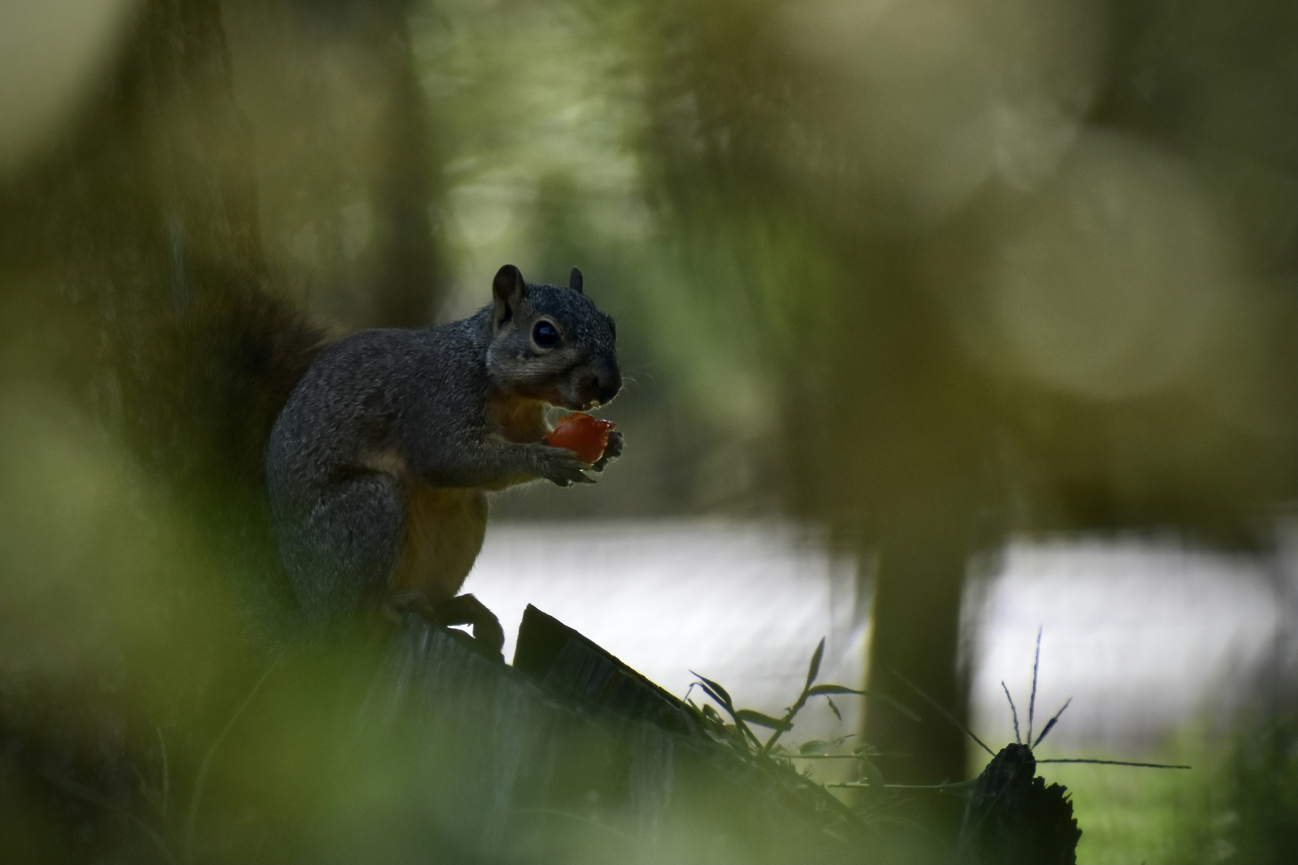 Photo by luketittley