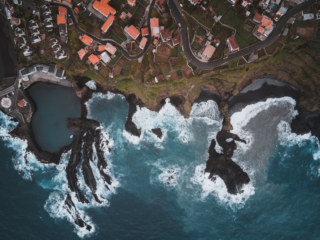 aerial view of houses near body of water during daytime