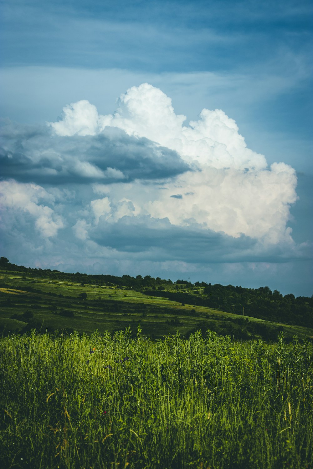 green grass field under blue sky and white clouds during daytime