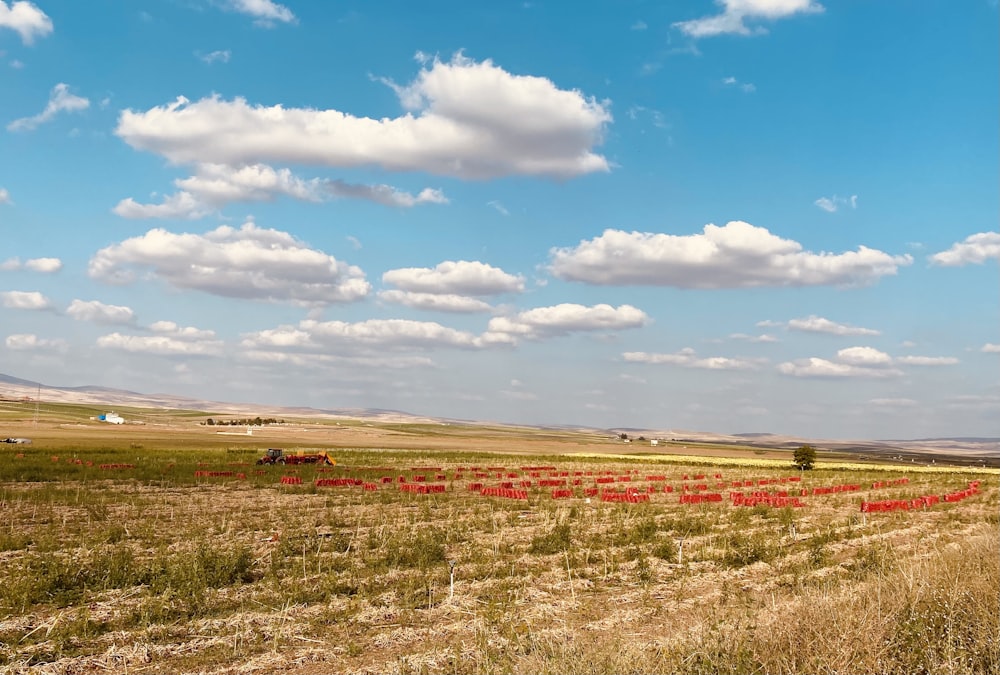 brown grass field under blue sky and white clouds during daytime