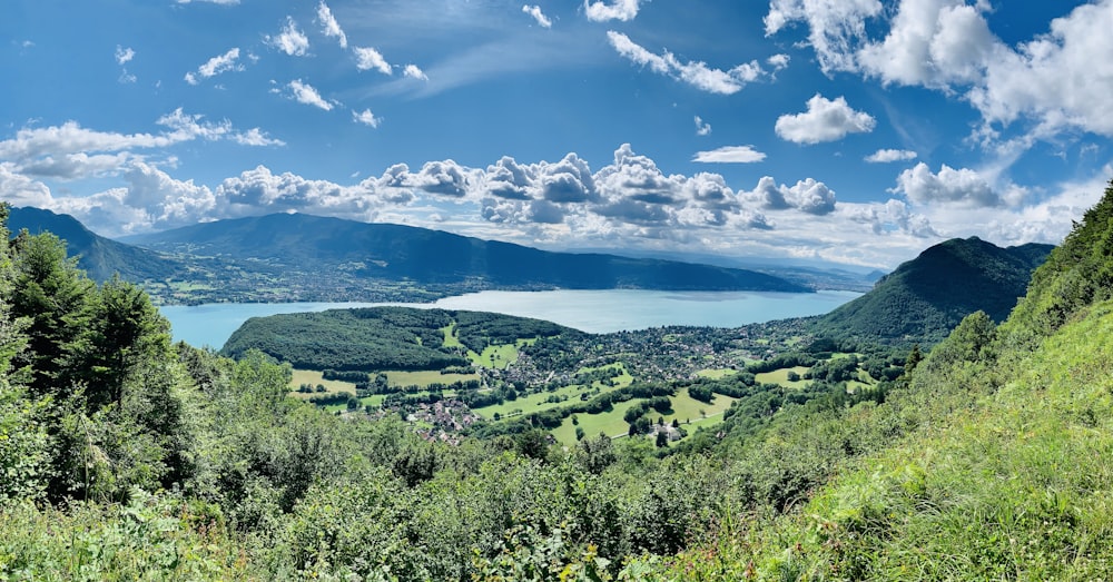 green trees and mountains under blue sky and white clouds during daytime