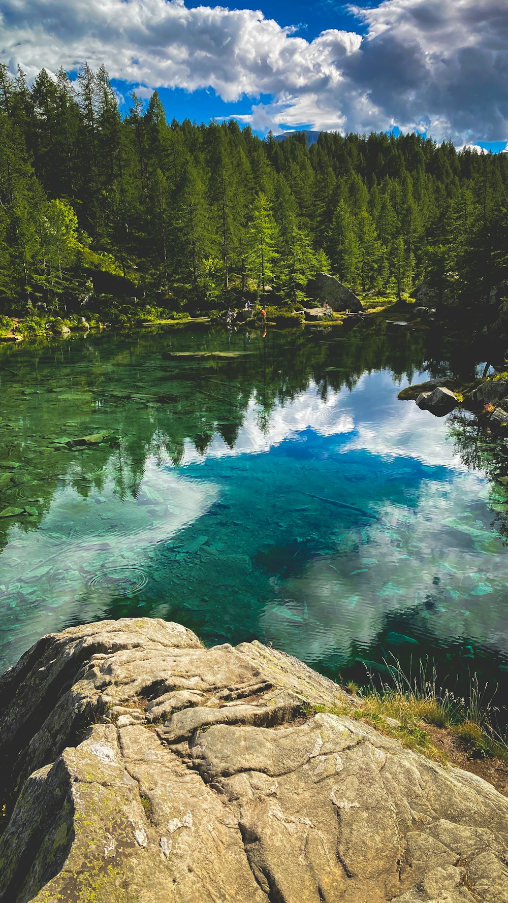 Lago azul rodeado de árboles verdes durante el día