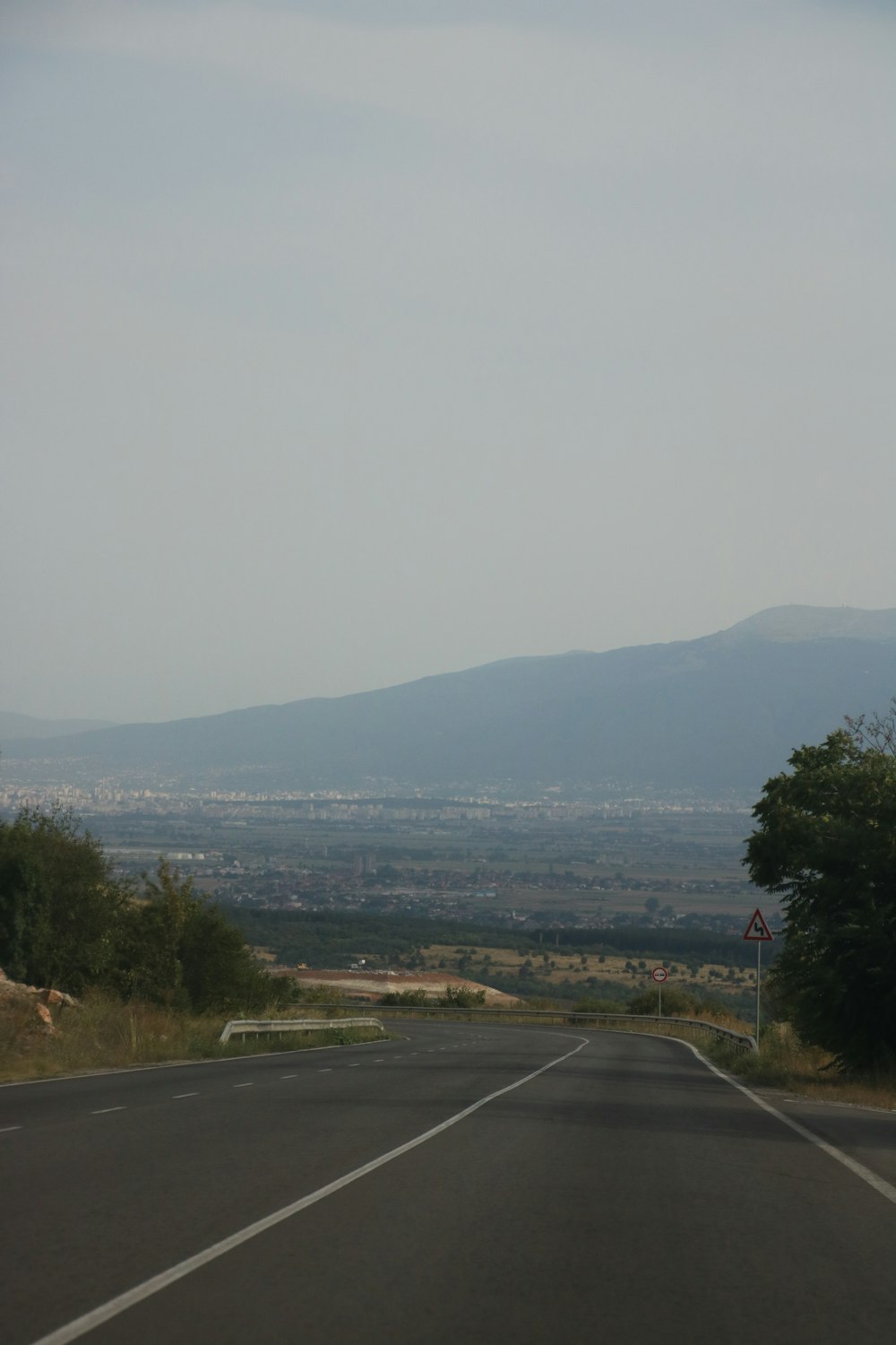 green trees near gray asphalt road during daytime