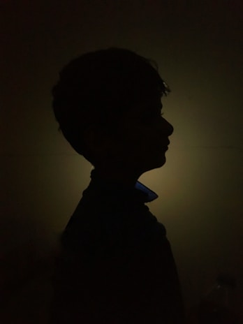 A figurative portrait showing a serene face with symbolic shadows blending into the background.