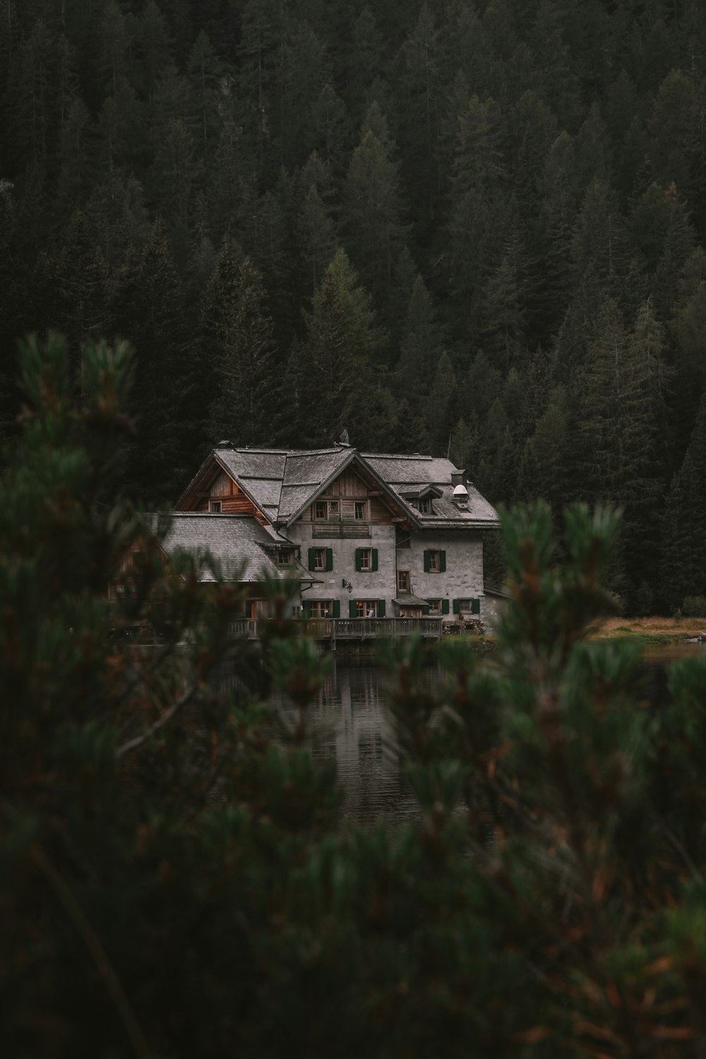 white and gray house surrounded by green trees