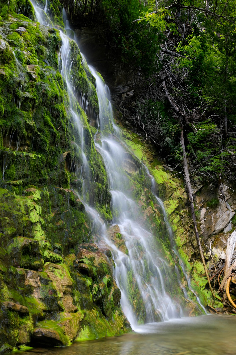 water falls in the forest