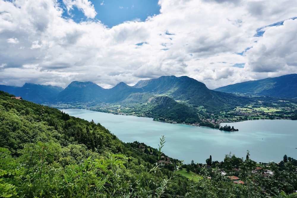 green grass and trees near body of water under white clouds and blue sky during daytime