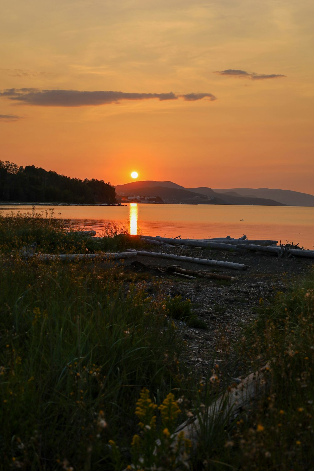 Grünes Gras in der Nähe von Gewässern bei Sonnenuntergang