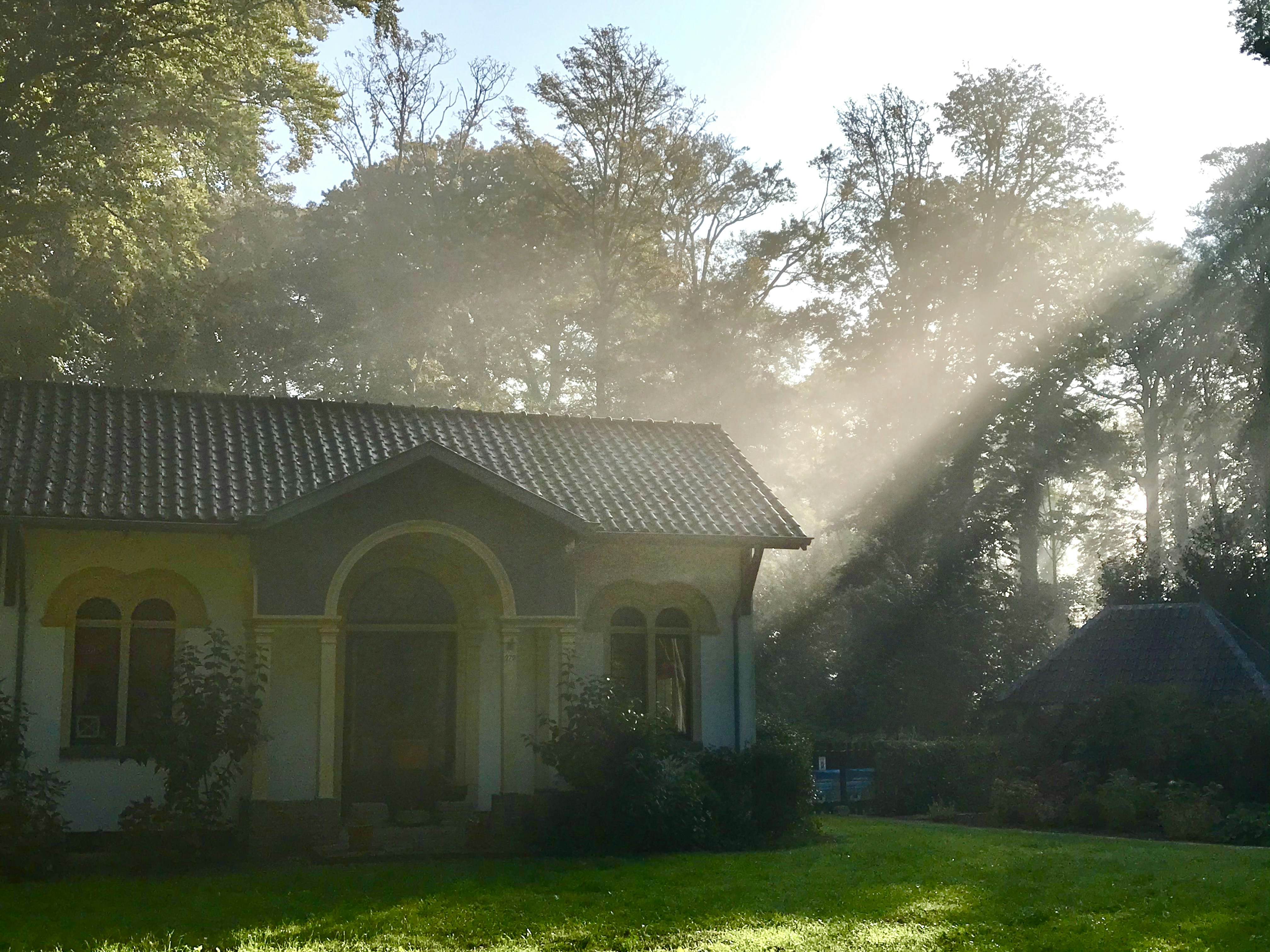 white and gray house surrounded by green trees during daytime