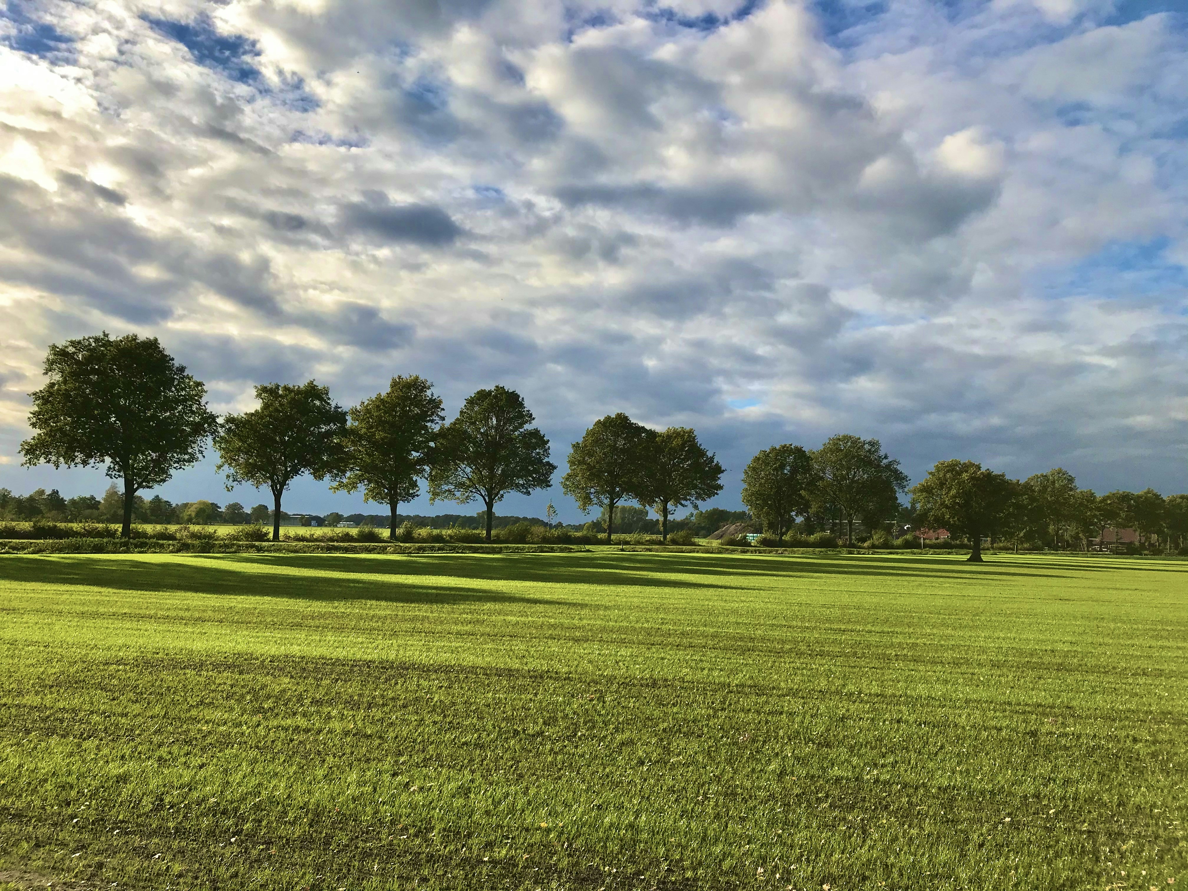 Photo by perryagerbeek